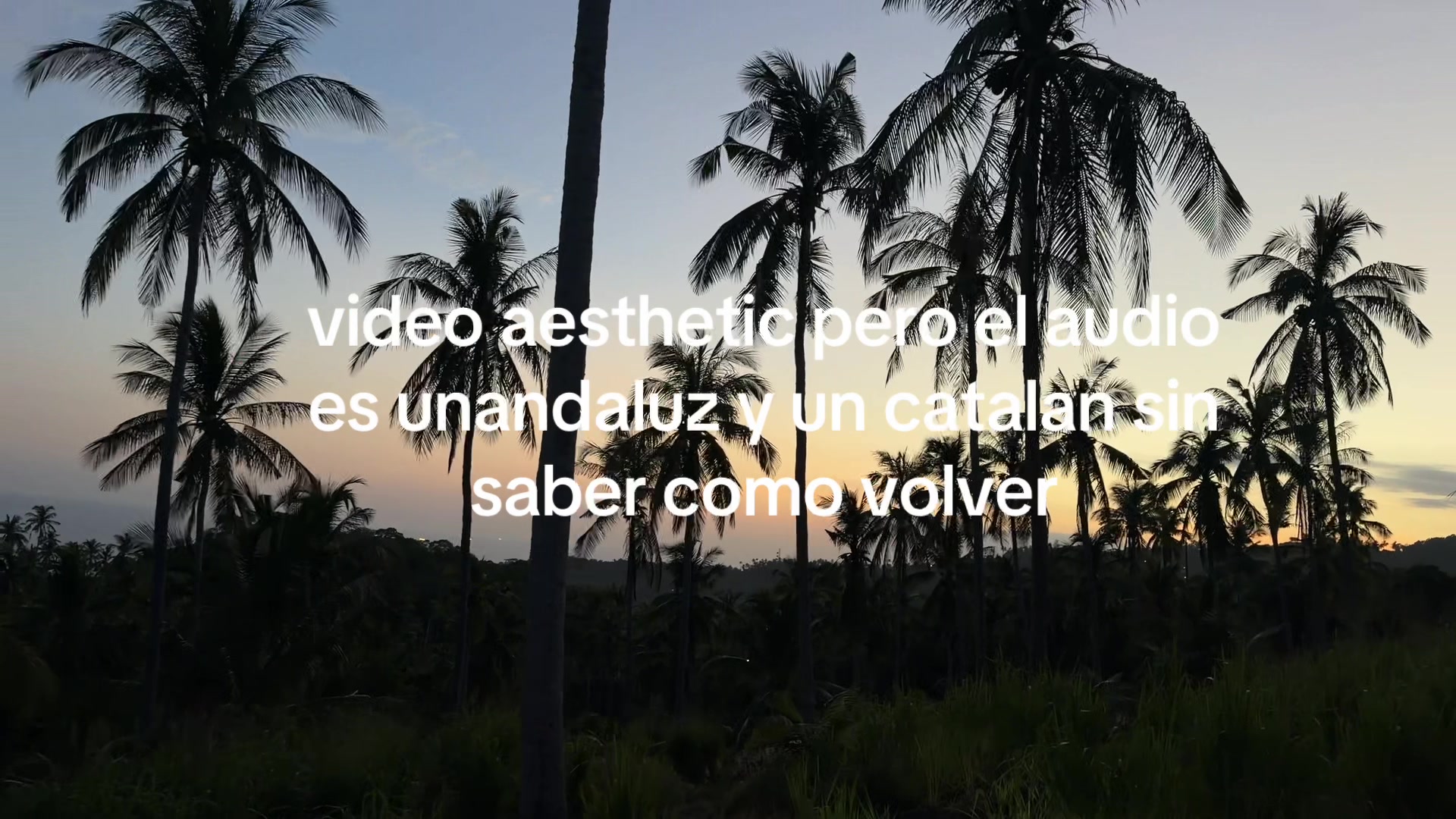 @joan_camus