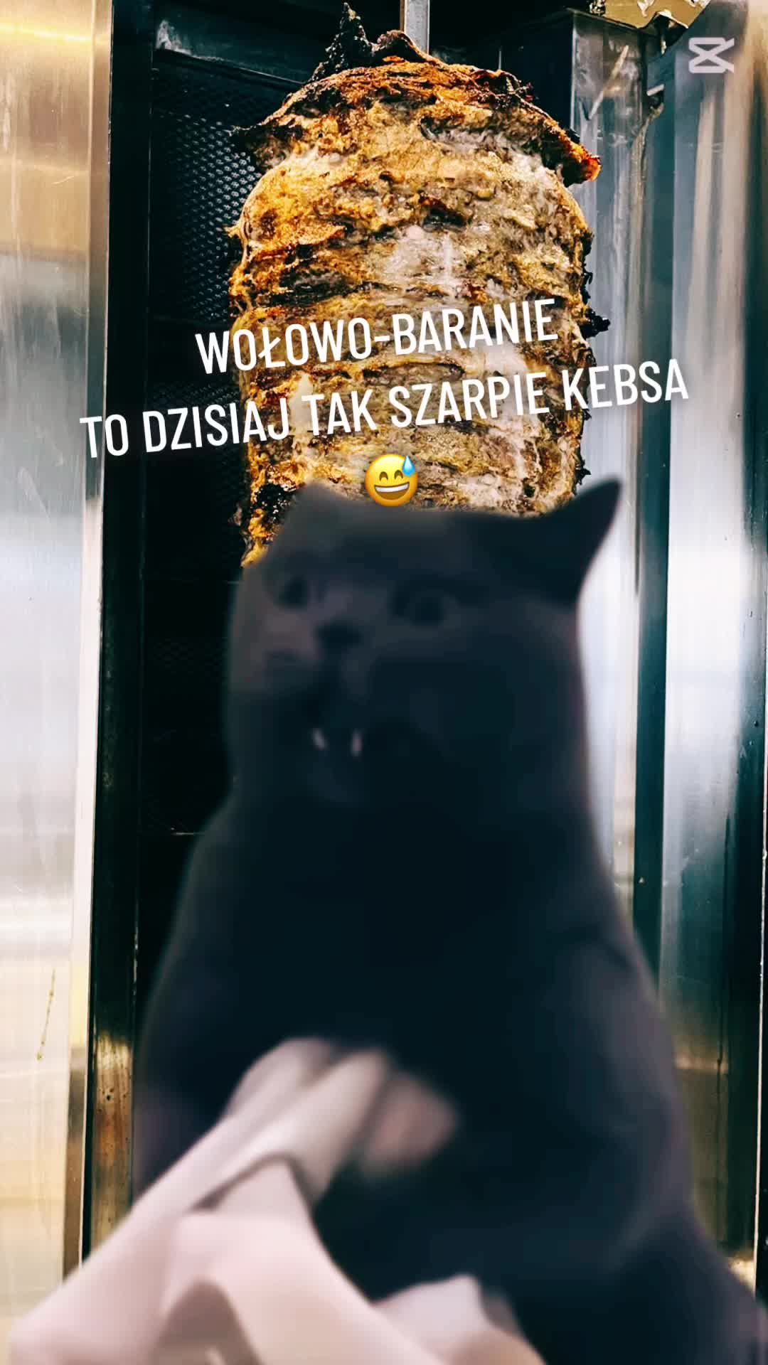 @osiemcztery300