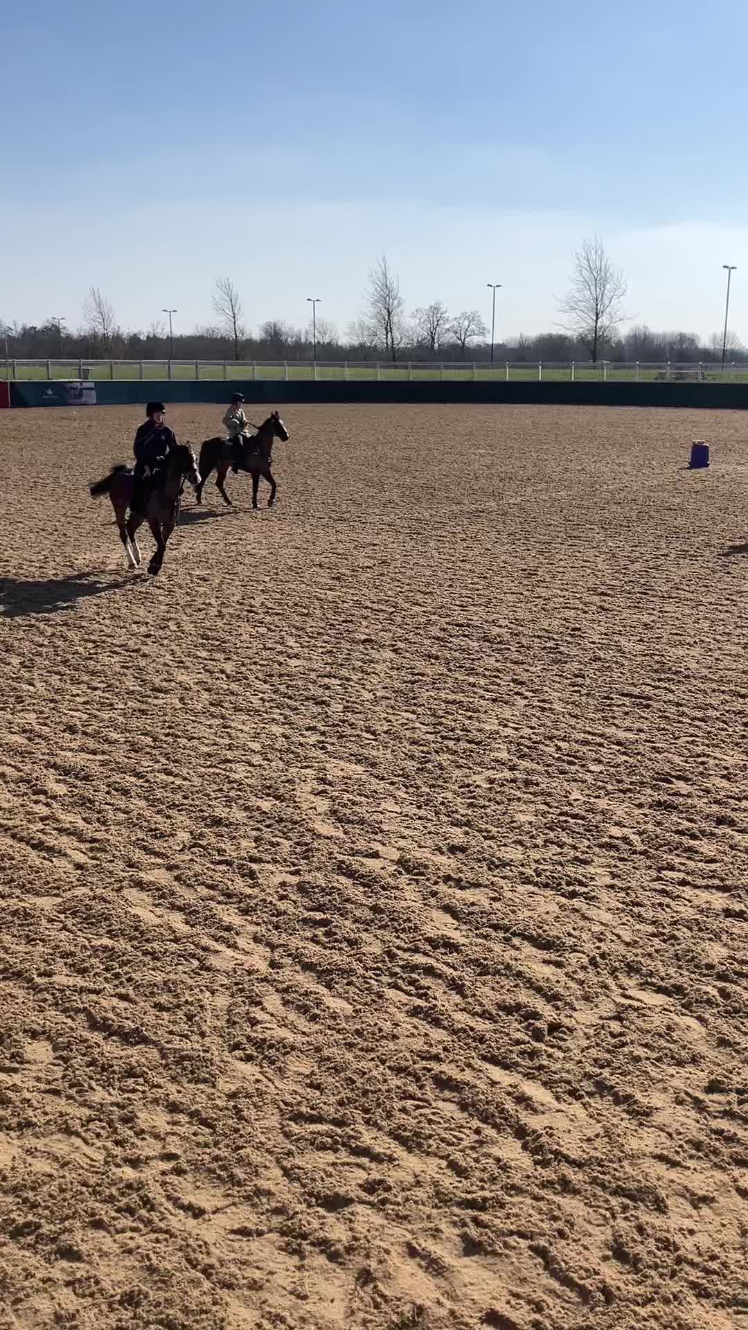 @Charlotte 🏇🐑