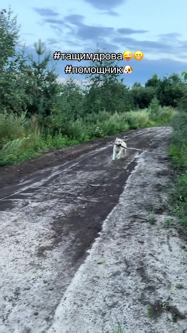 @Лиза Run 🏃🏼&zwj;♀️👟💜