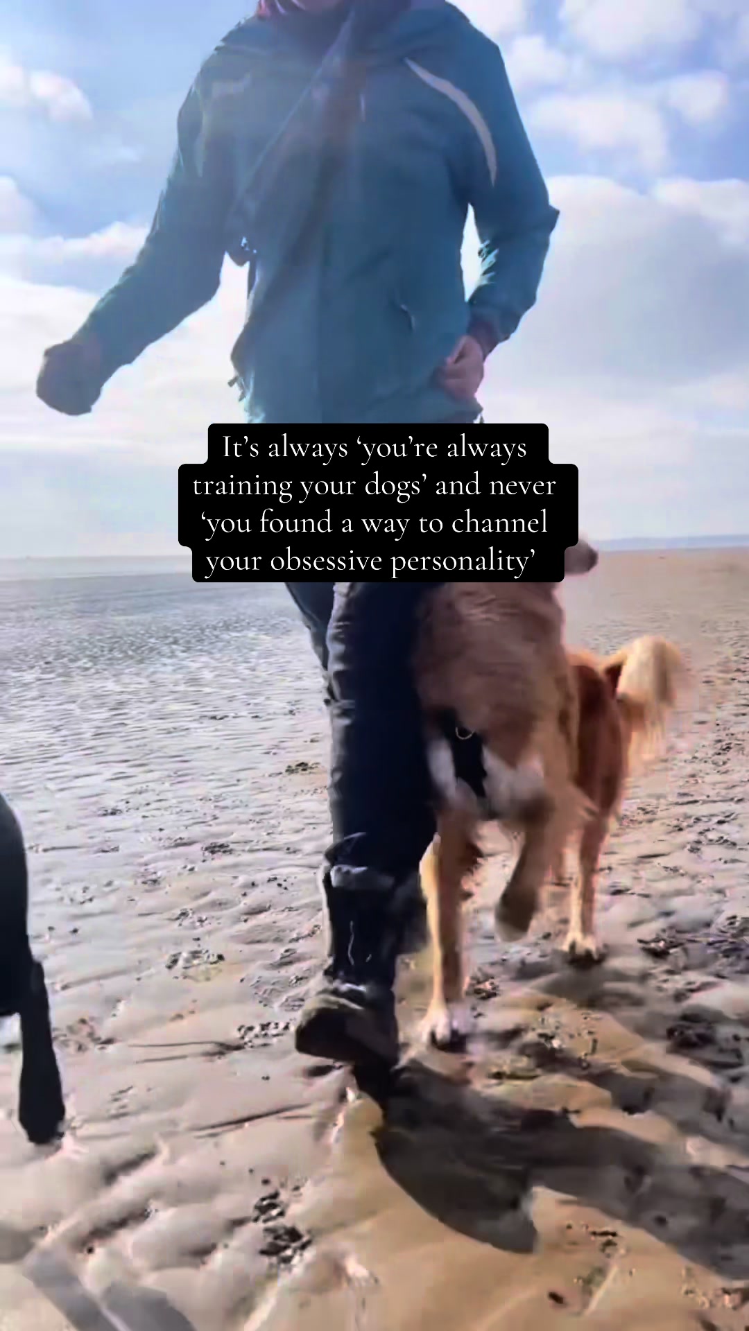 @Valleys Dog Training