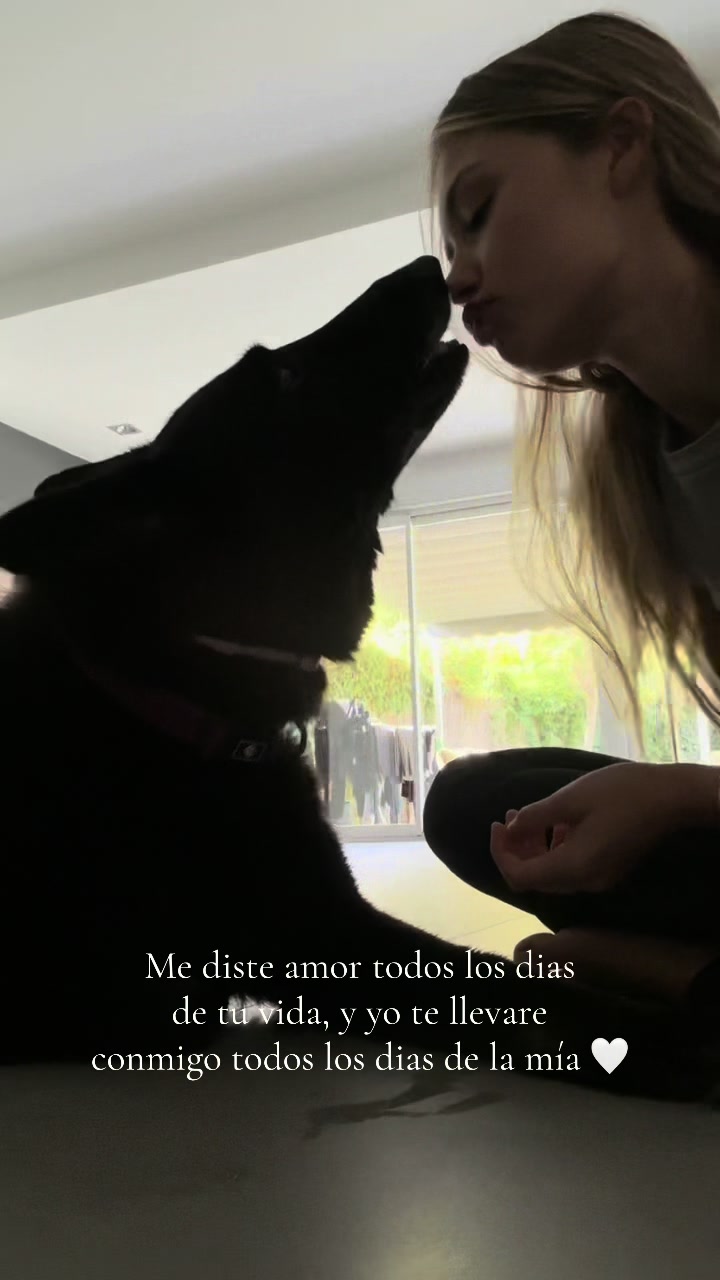 @adzz