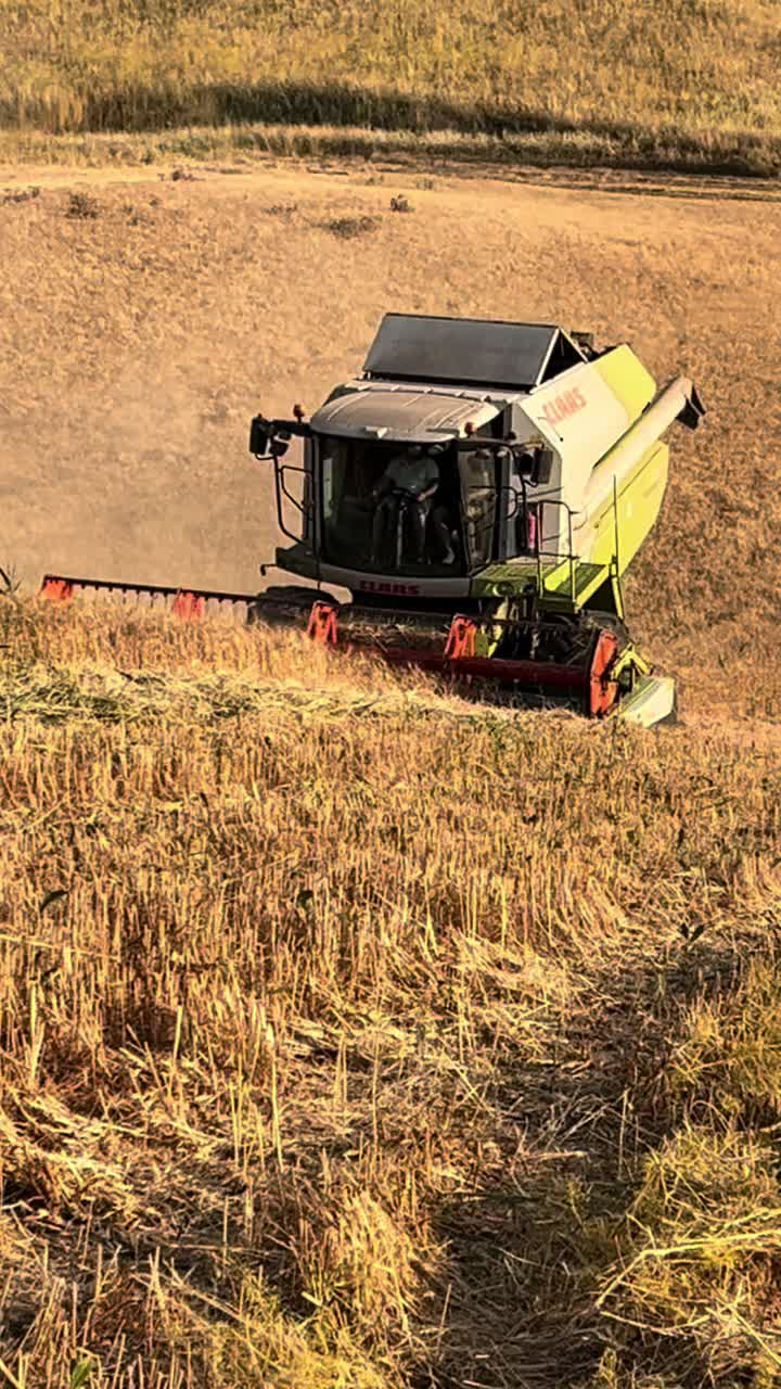 @DV.farm96