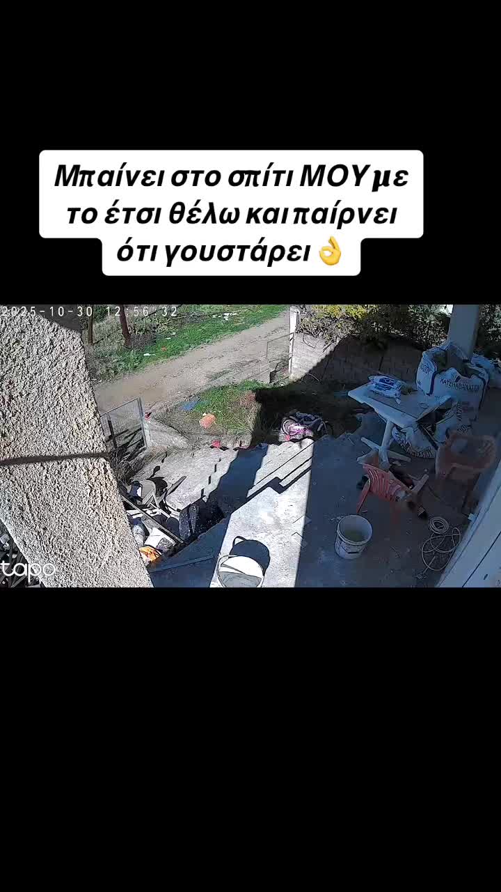 @๐๐ธ๐๐๐๐๐ ๐ฌ๐๐๐๐๐๐