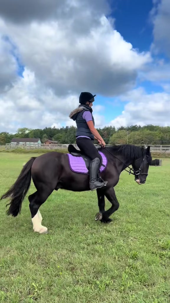 @Equ🐎:all the gear no idea🫶✌️