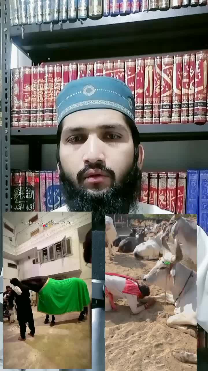 @🍂 امير معاوية 👑