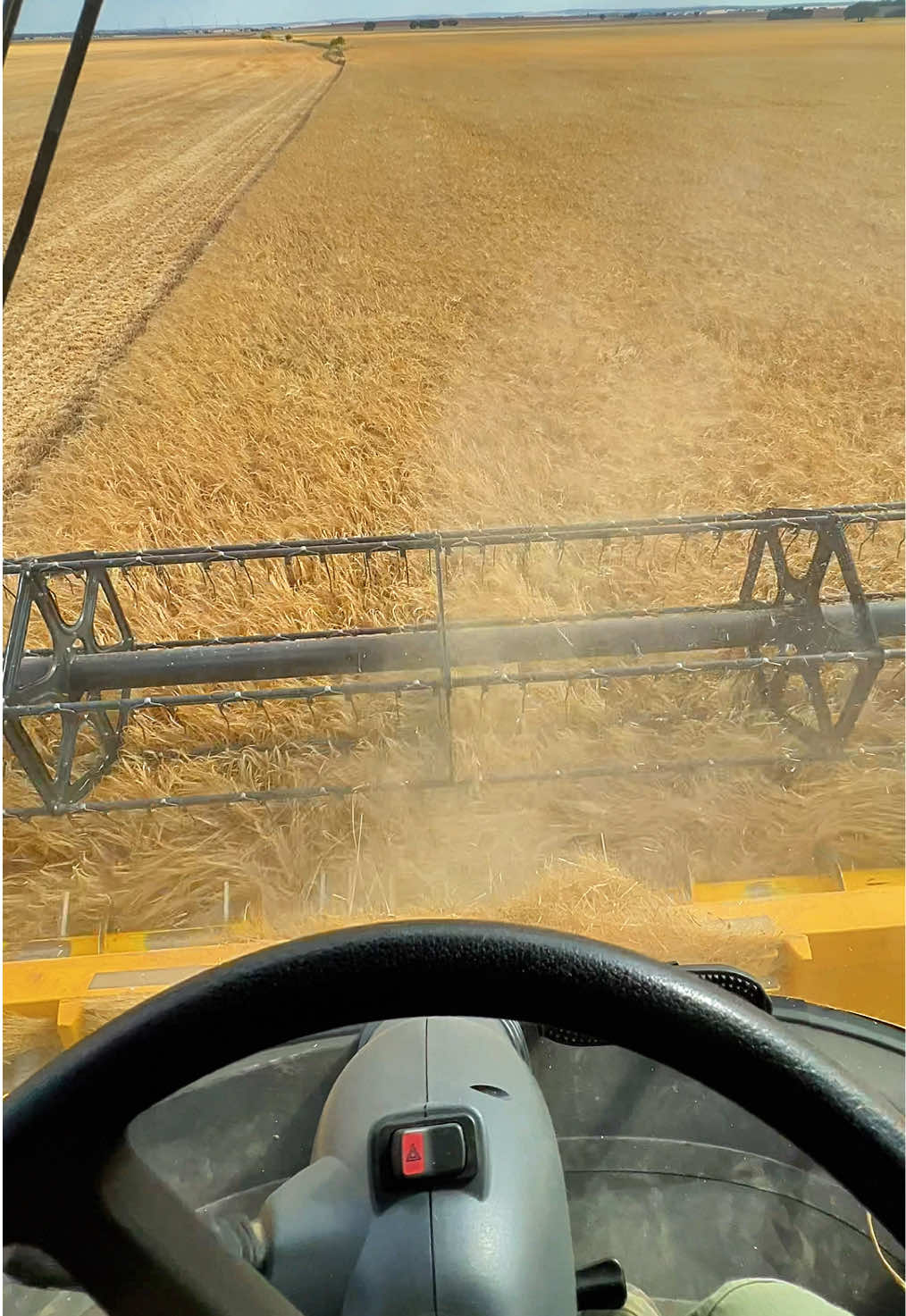 @Jota Agricultura