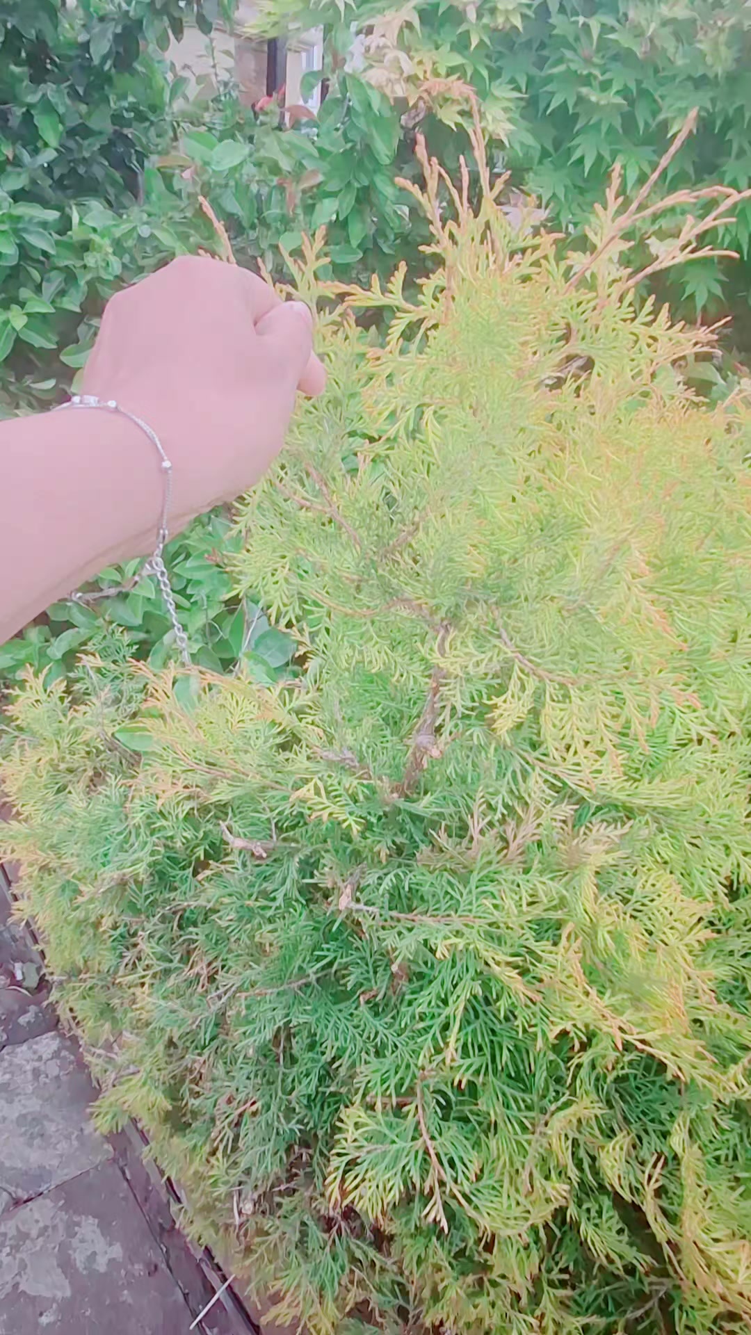 @MRS khanom🇧🇩❤️🇬🇧