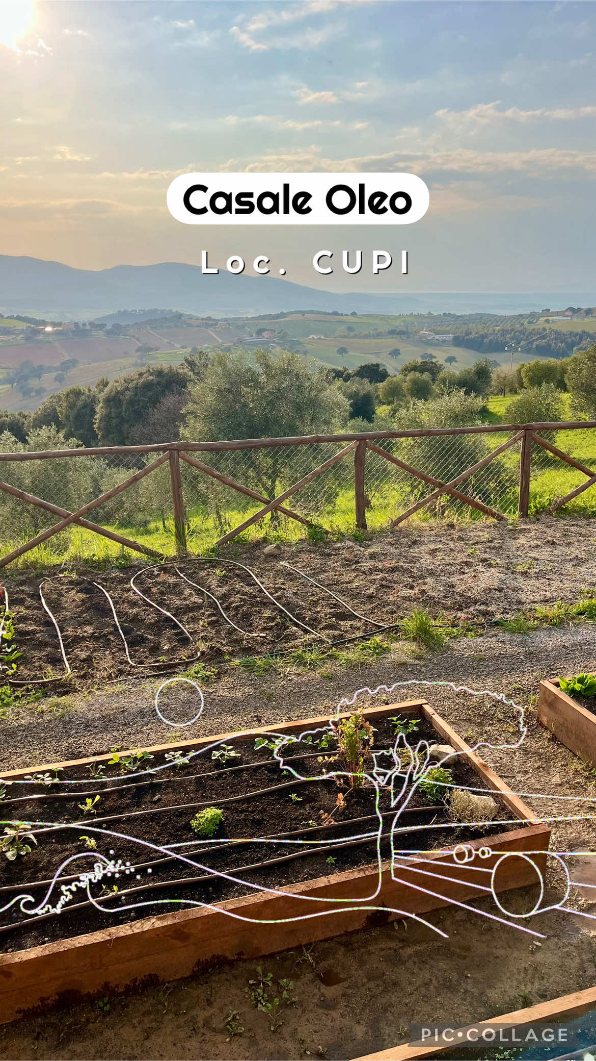 @Maremma Green Passion