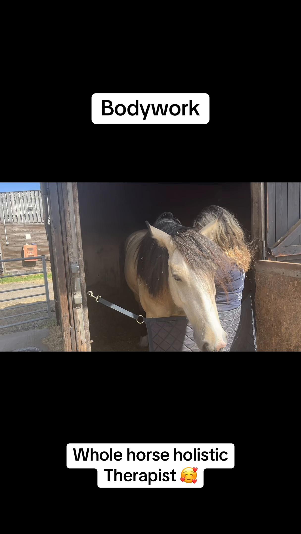 @Equine Release