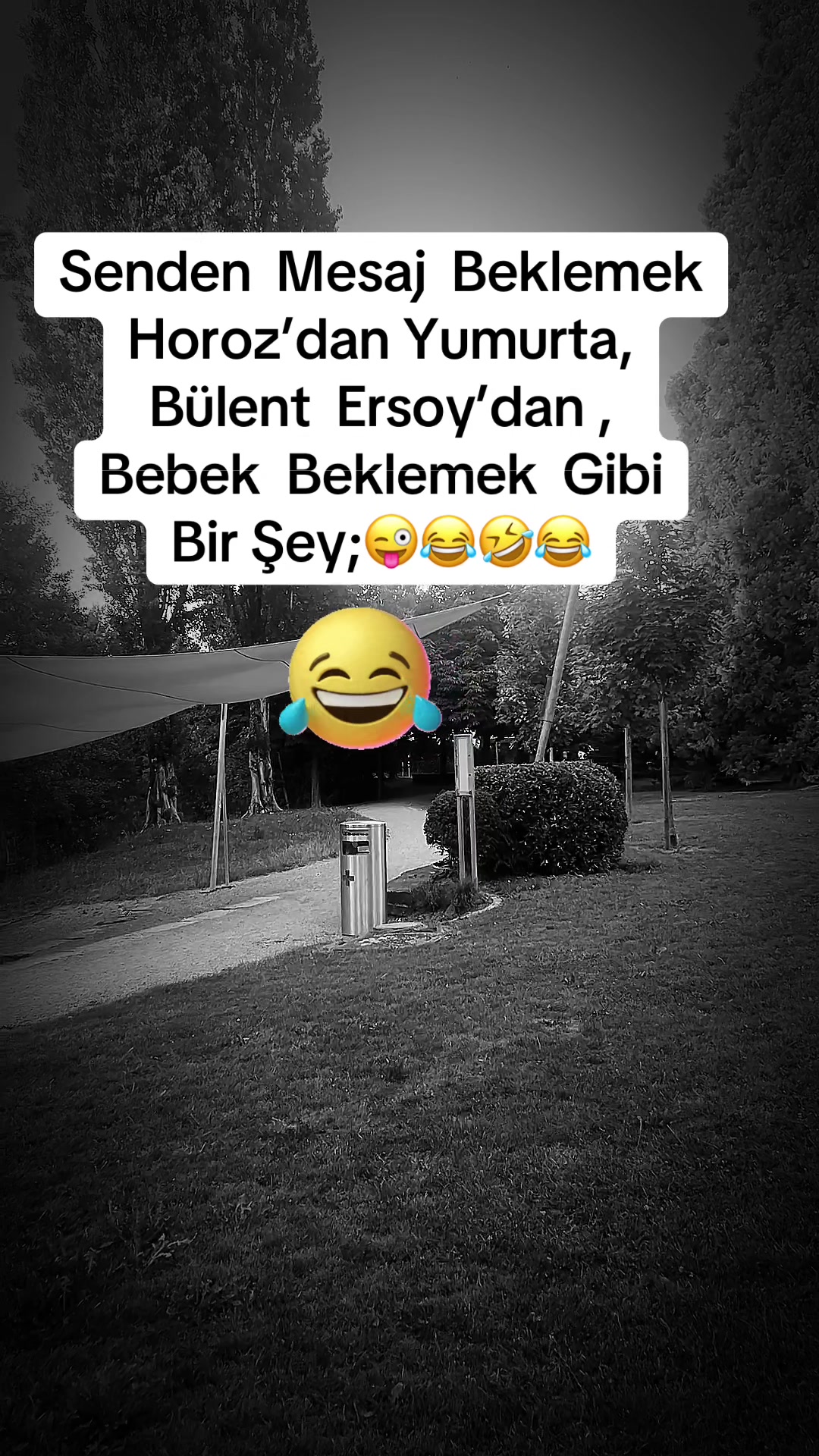 @✨🤍Ayliz_S🤍✨