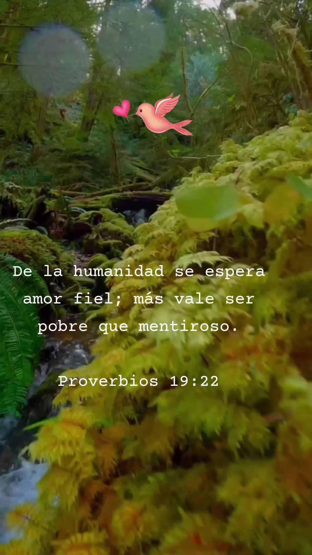 @Mensajes bíblicos