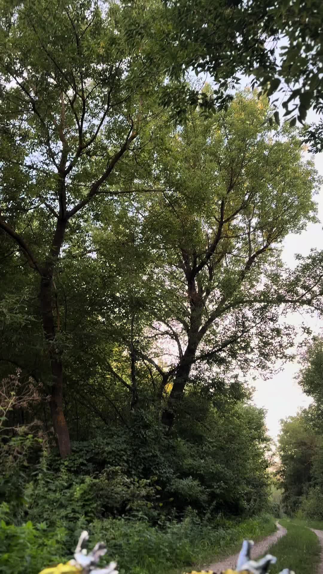 @Ə𝐤𝐛ə𝐫𝐢𝐦🩵