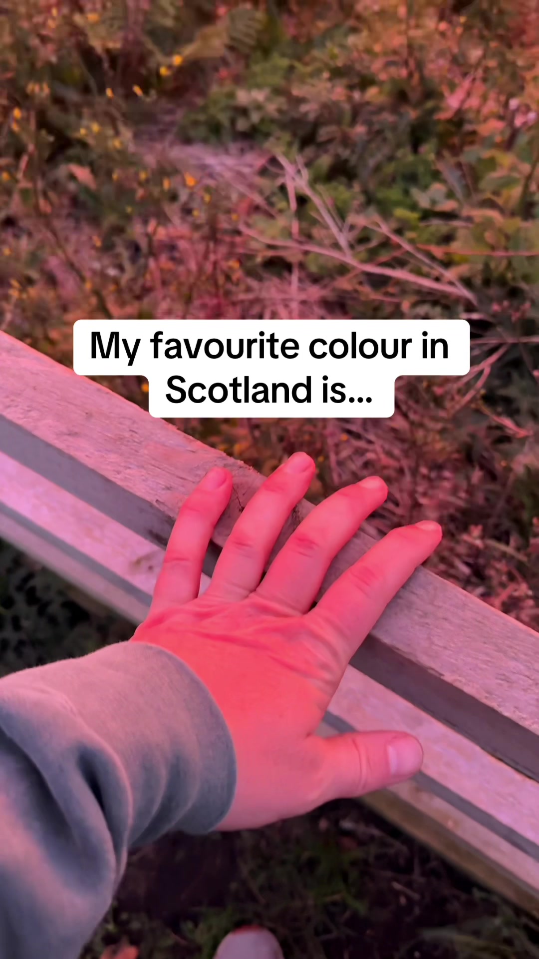 @John Murray - Scotland