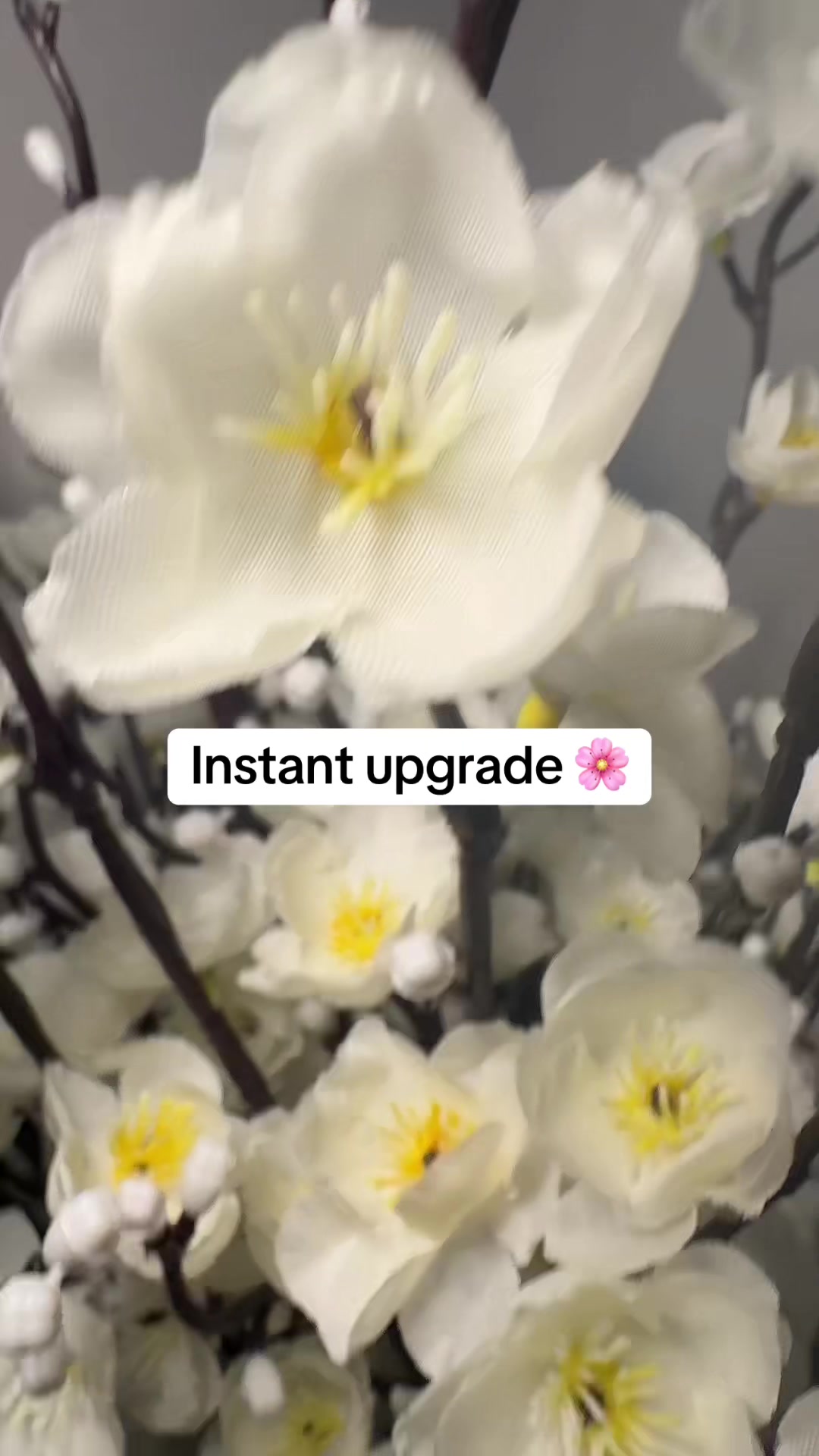 @Shaz finds 🛍️