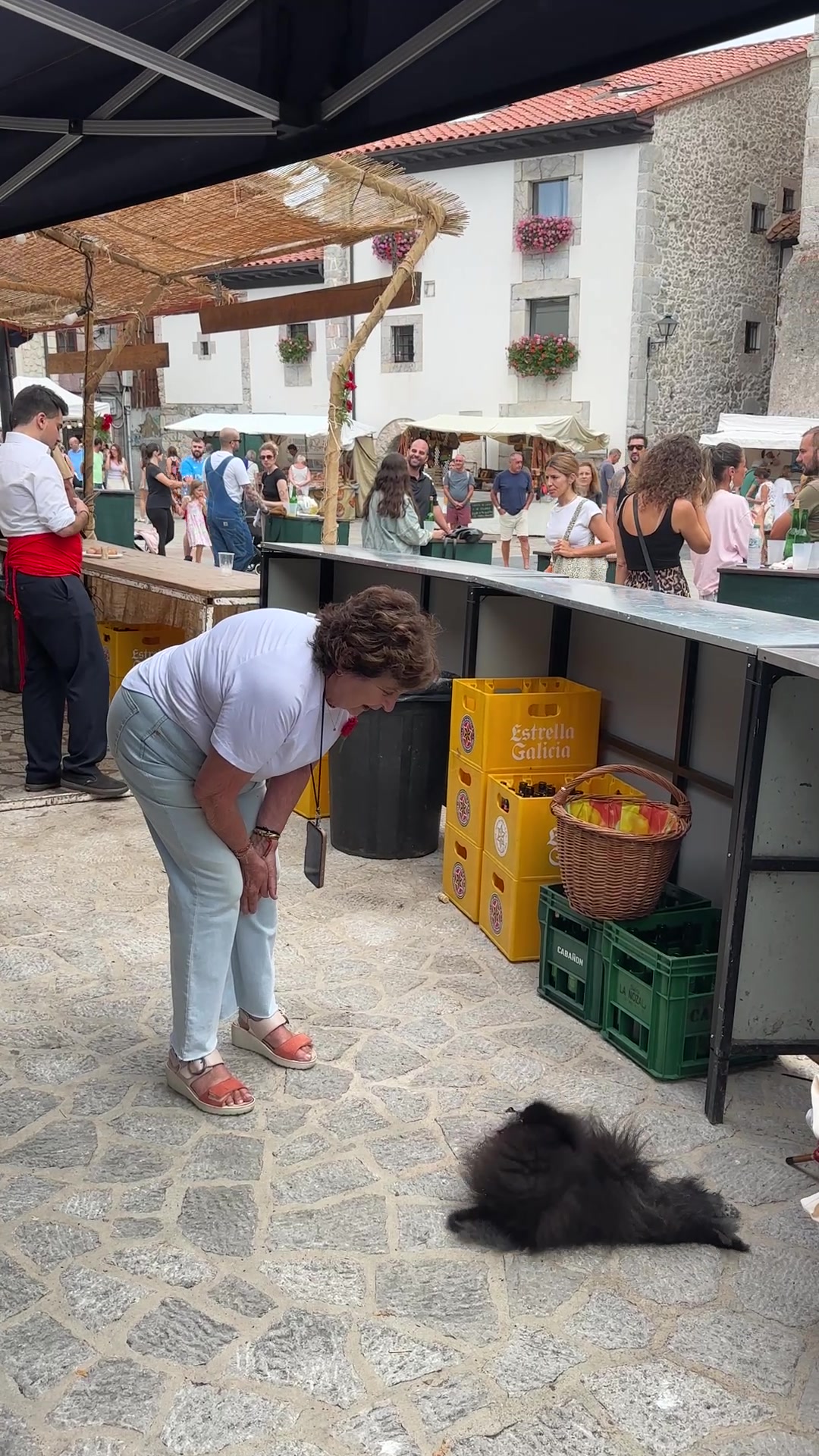 @pomeranian_iru_Spain