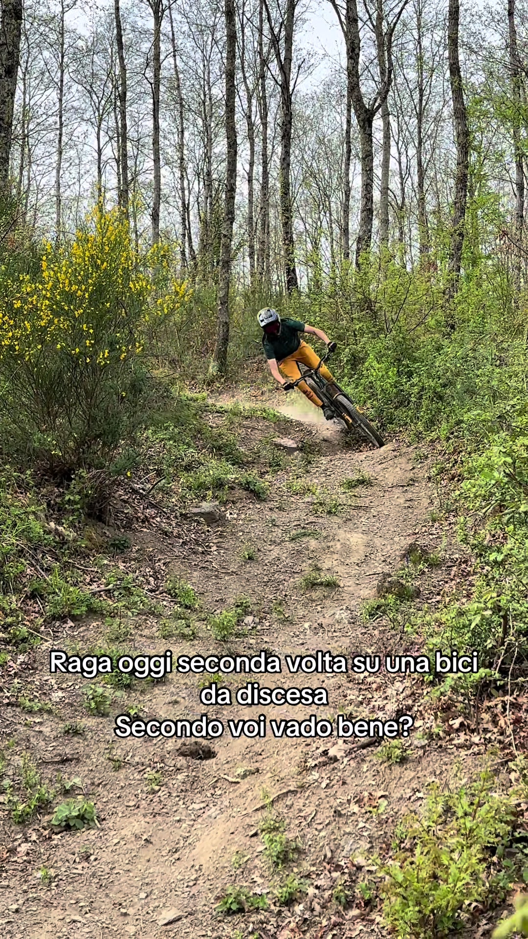 @Matteo falcini
