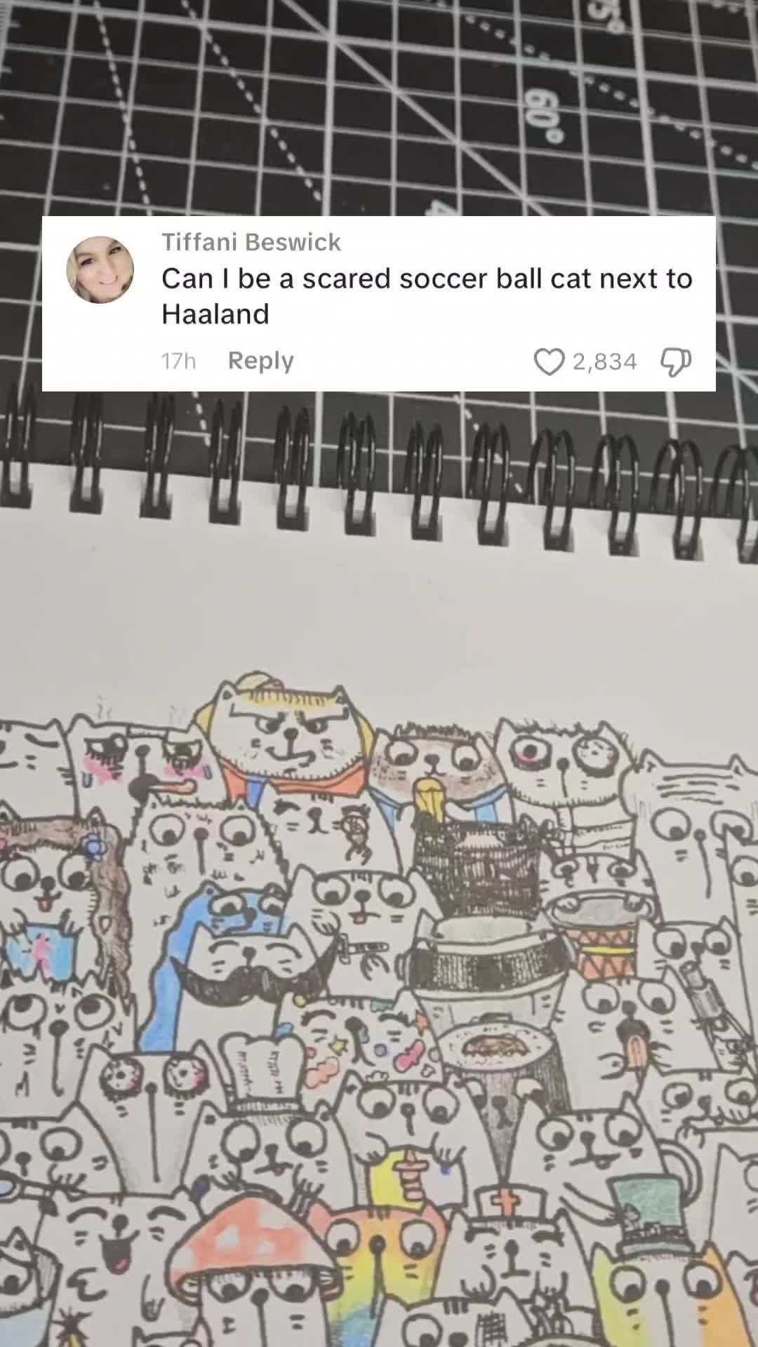 @StackofCatz