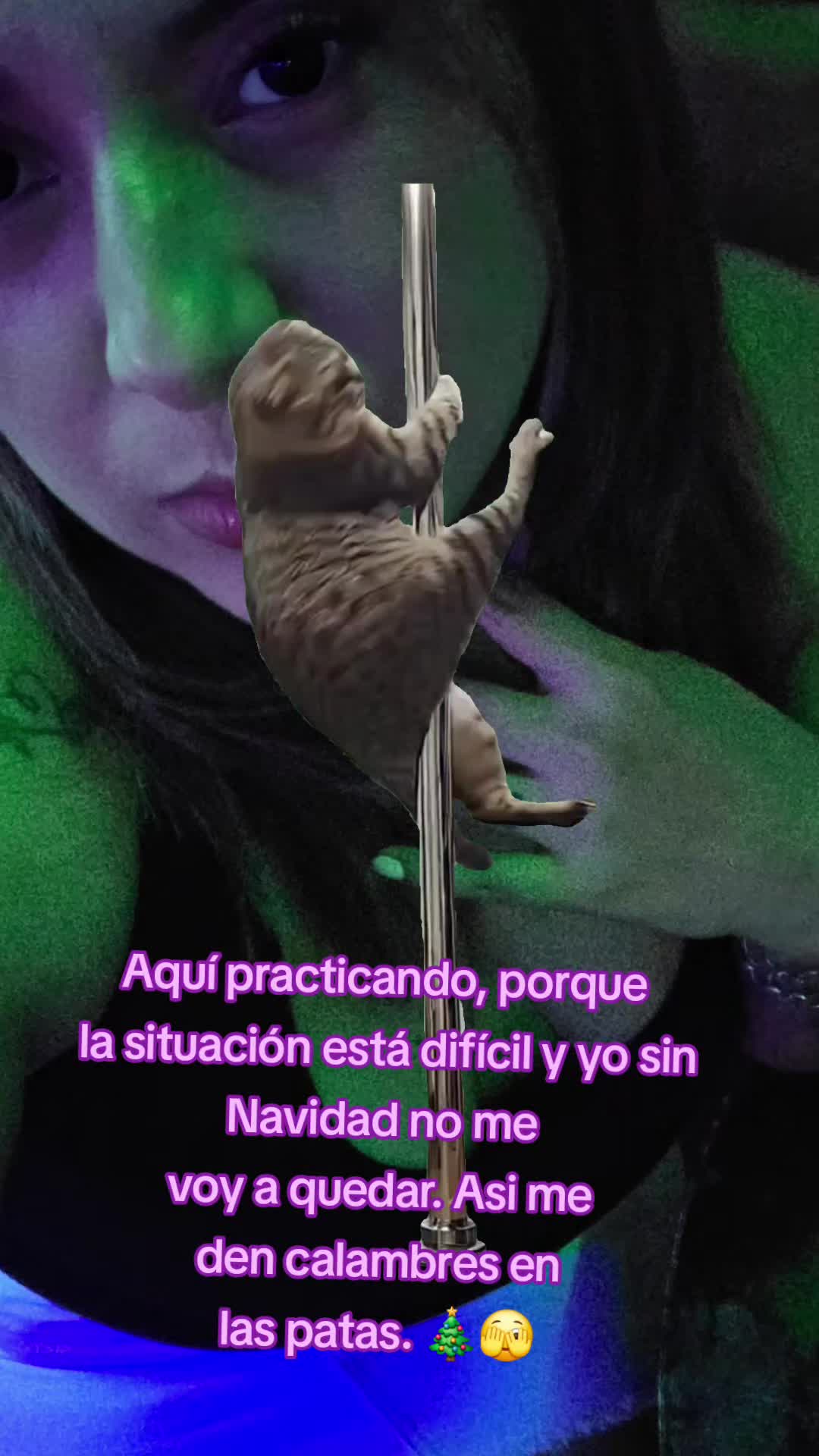 @๐ ๐ฅ๐๐๐๐๐ป๐๐ ๐ ๐๐ฉต๐ฉท