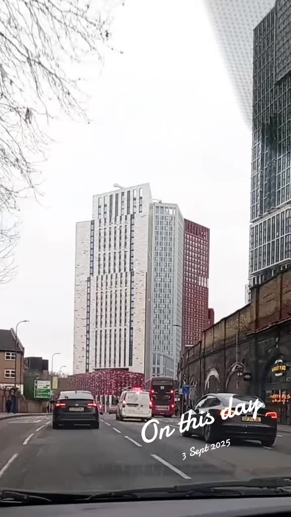 @beautiful world vibes