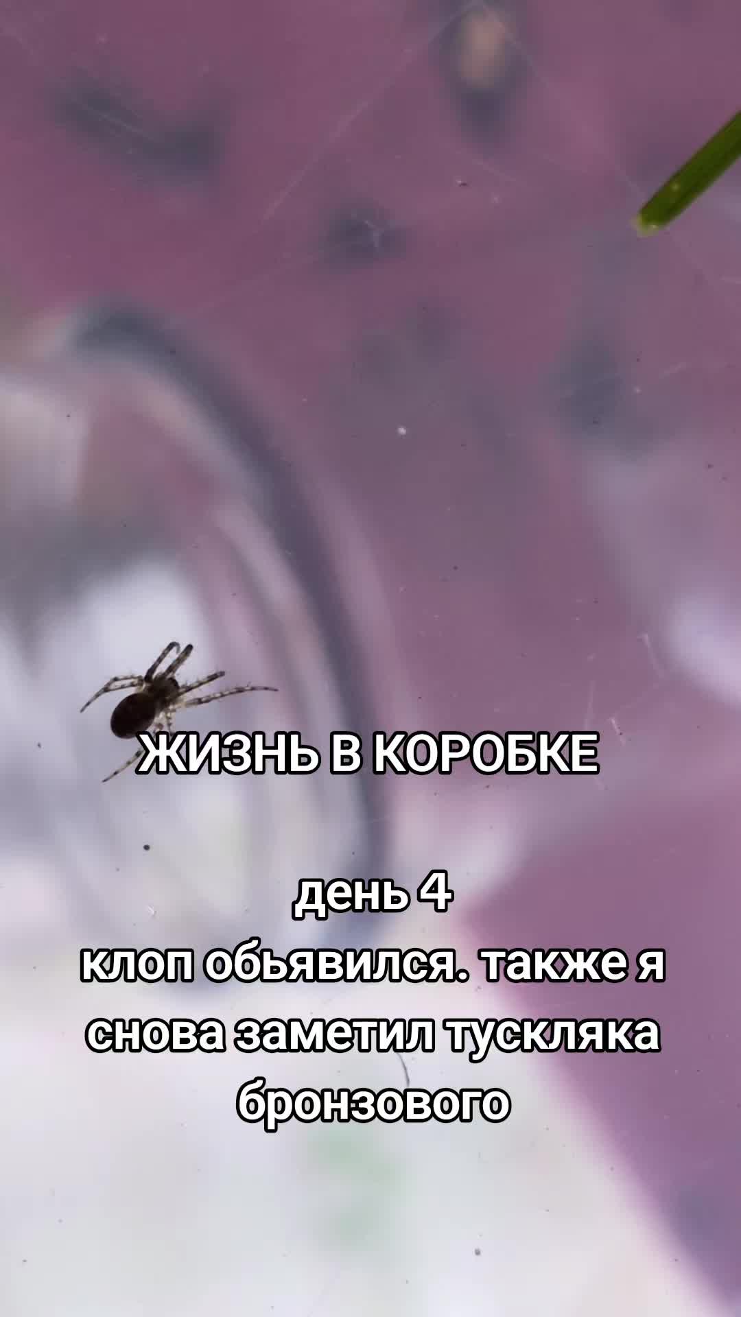 @ЖИЗНЬ В КОРОБКЕ