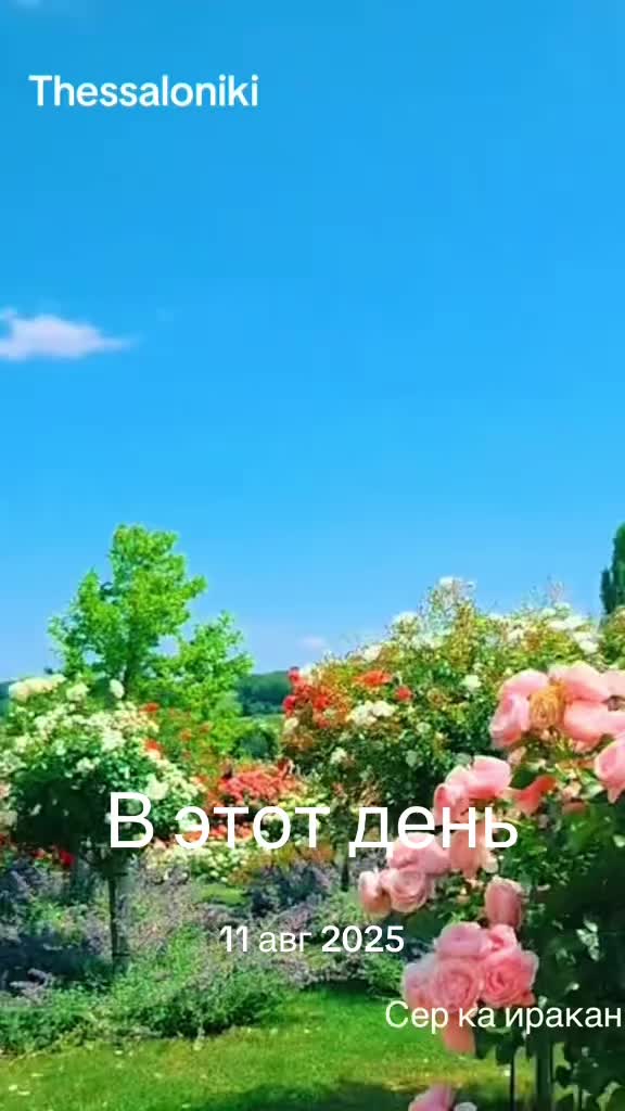 @Liana