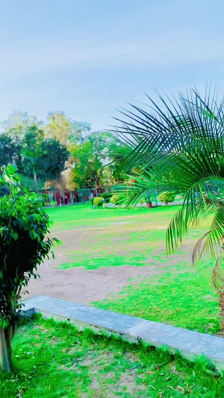 @shazadaslam 83