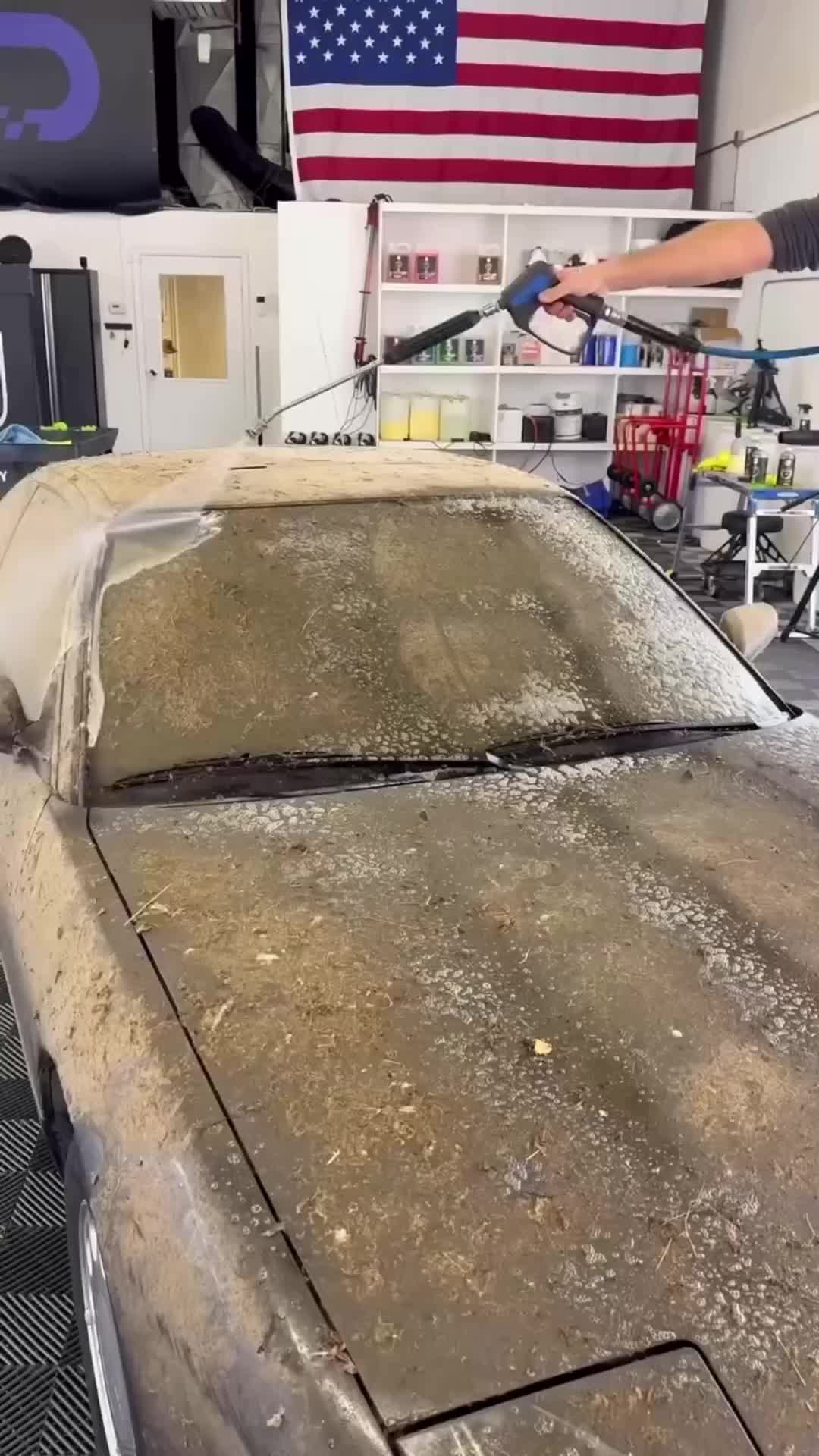 @Jean Car