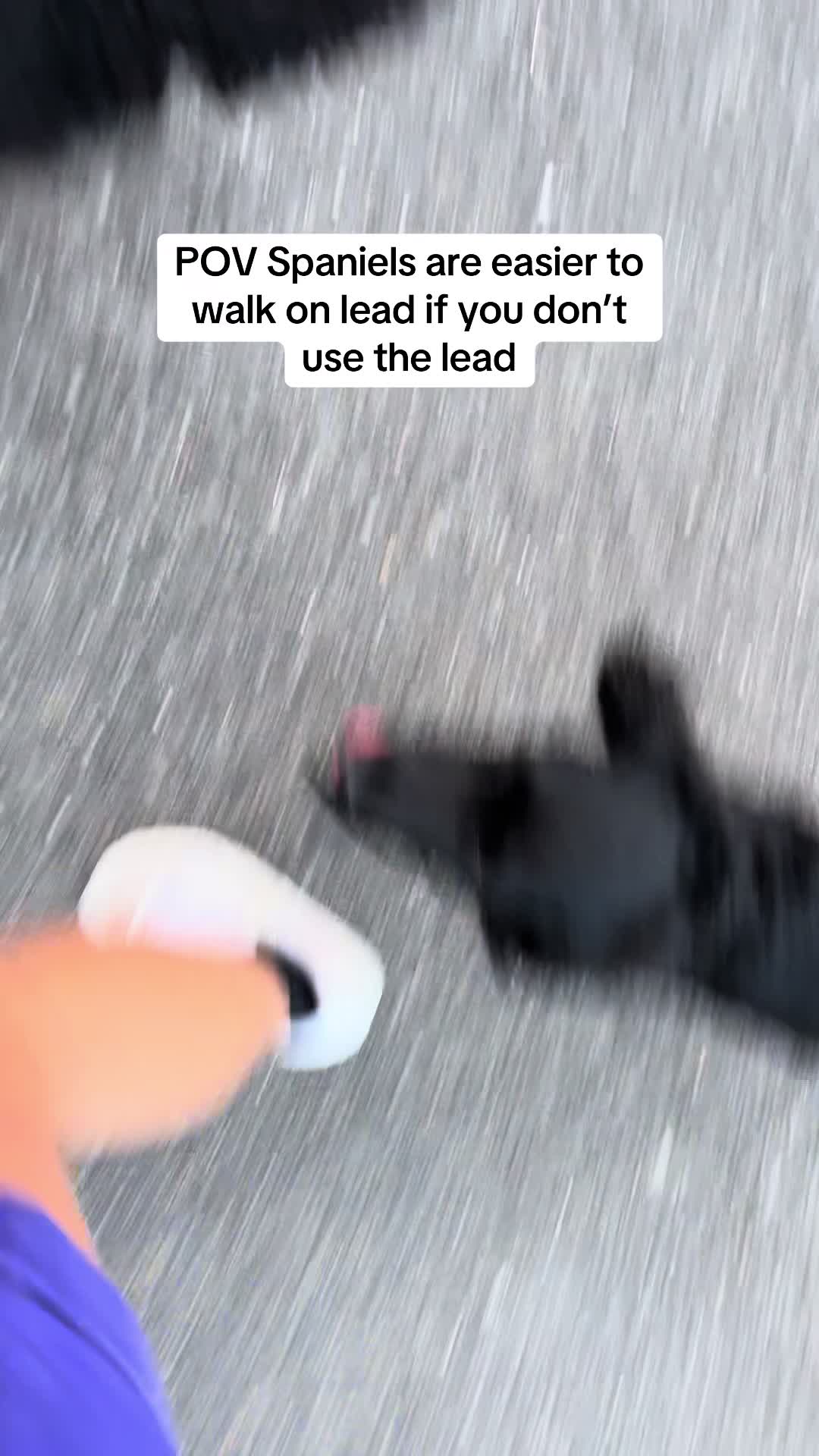 @Corrina | Parker & Mila 🐾 ⭐️