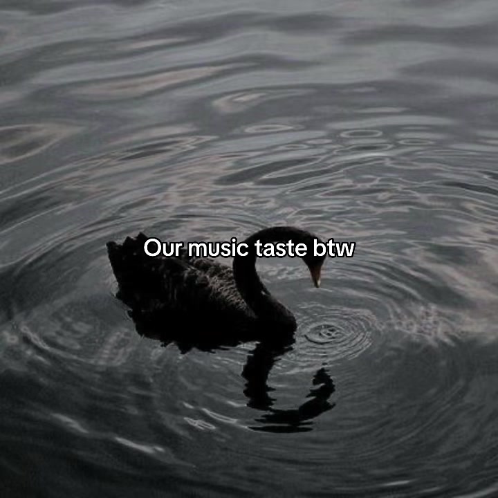 @𝒫𝒥ℳ.⁷⊙⊝⊜
