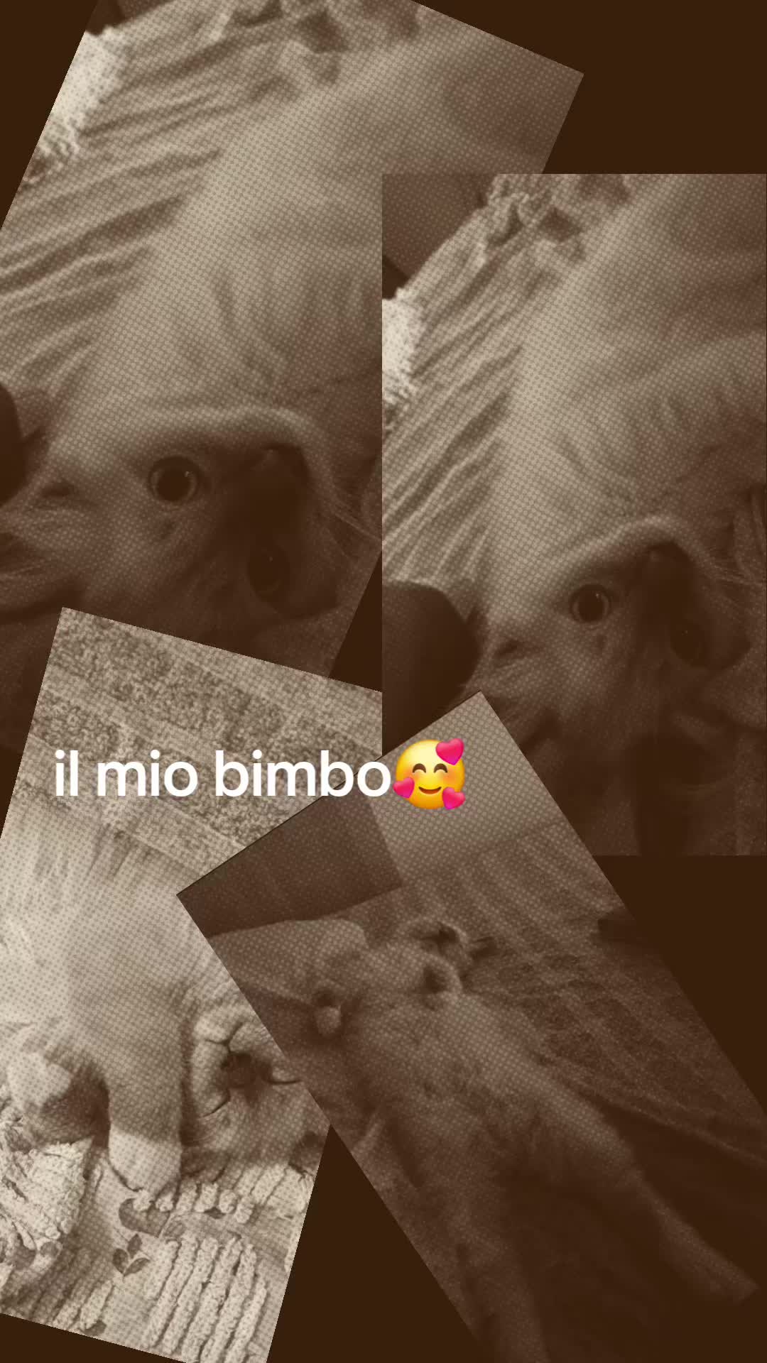 @Chiara 🥰🥰🥰