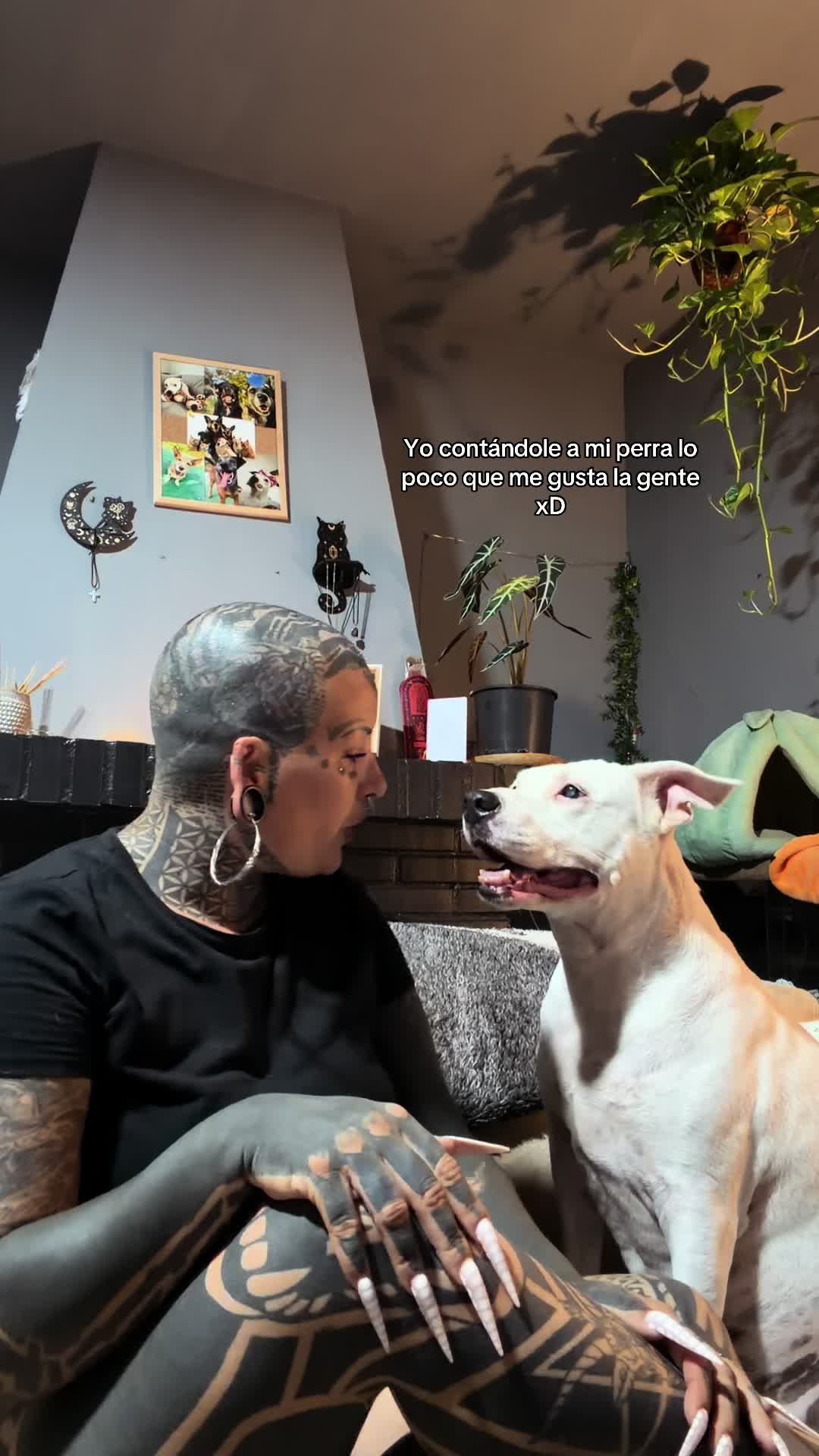 @HIPNOTIKA