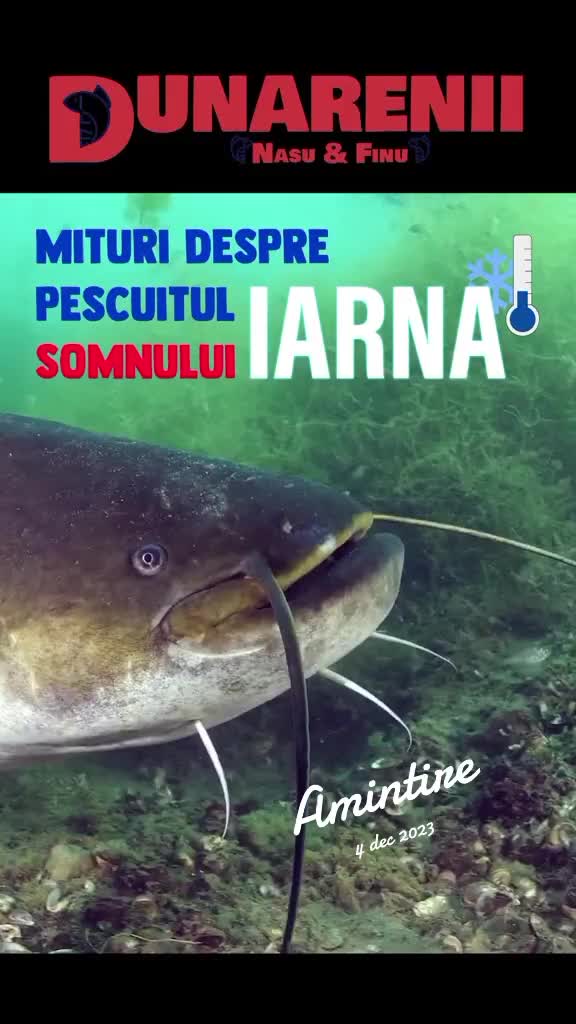 @Pescarul Dunărean