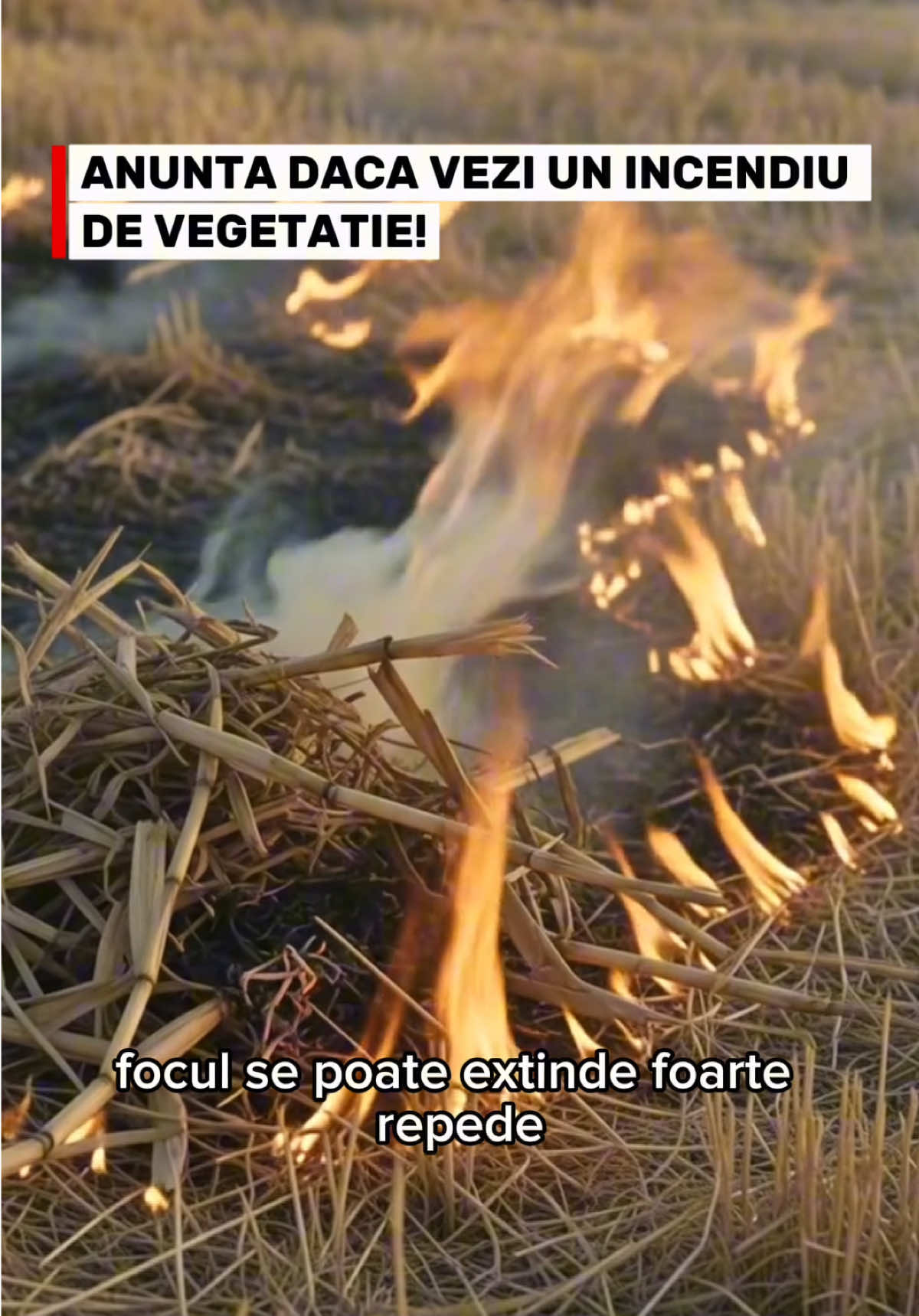 @SpeedFire.ro