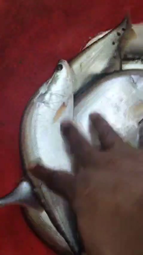 @Bangladesh