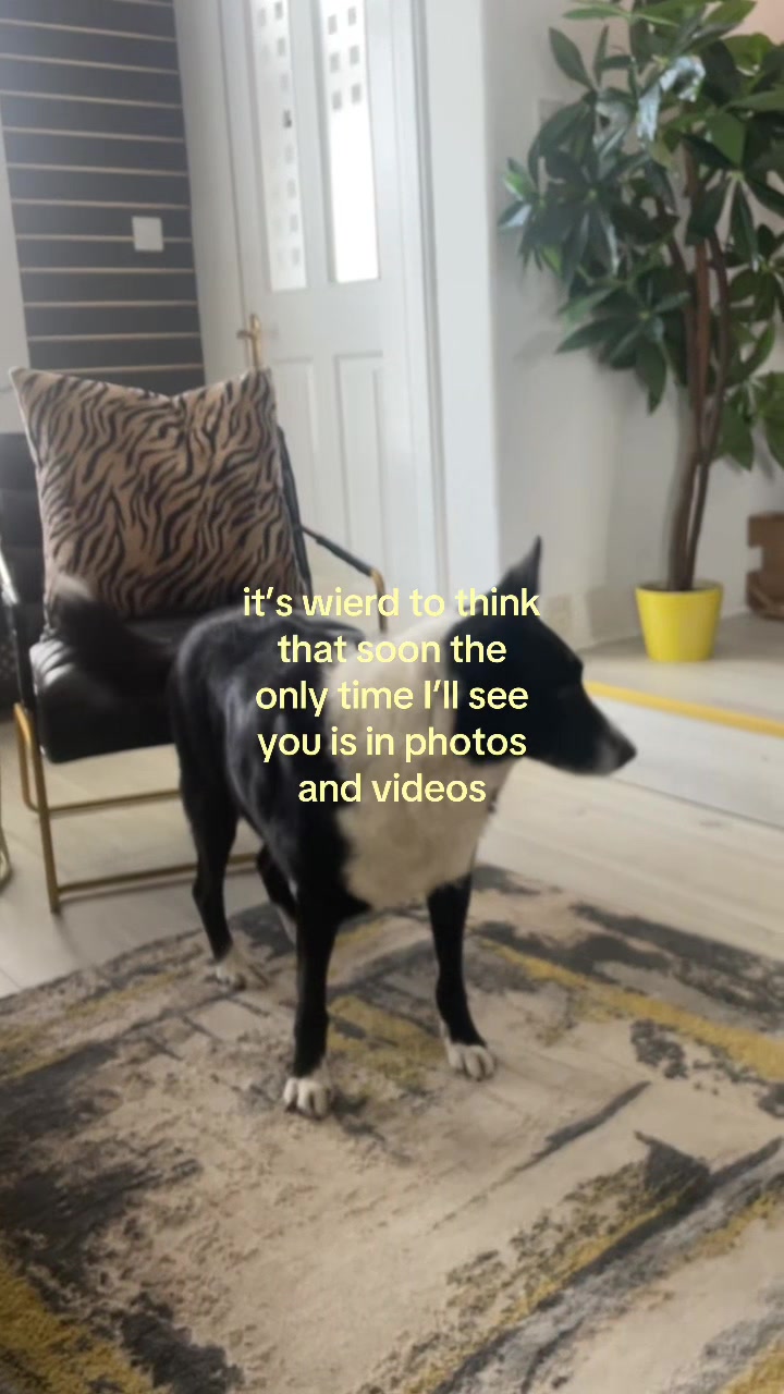 @🙂↕️