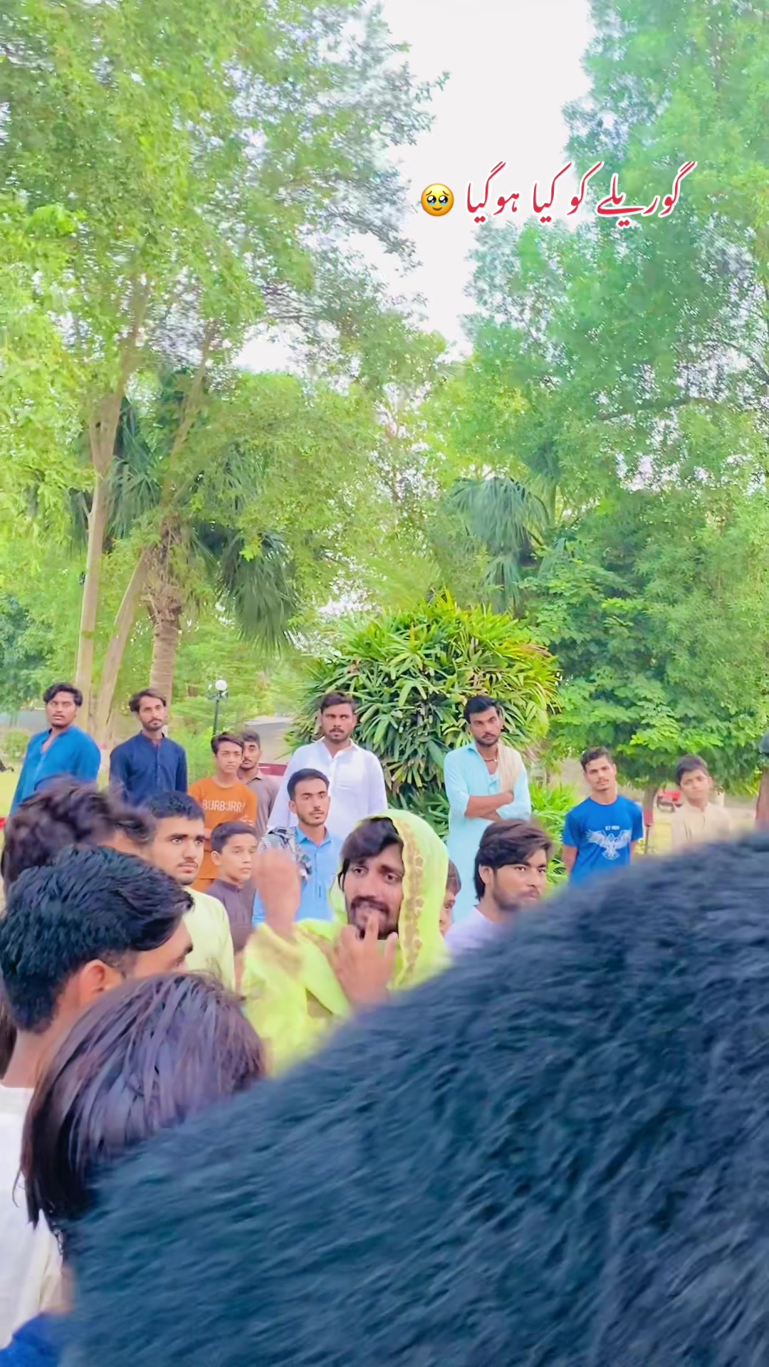 @Mrکاشی
