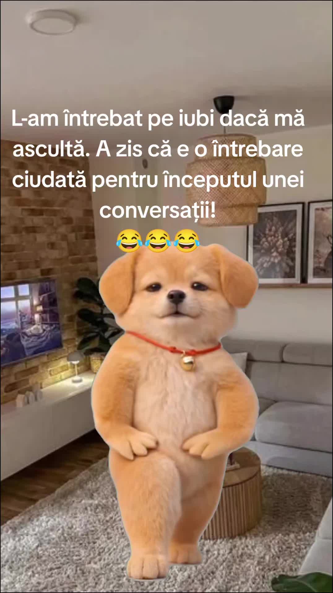 @Carmen Buhinschi