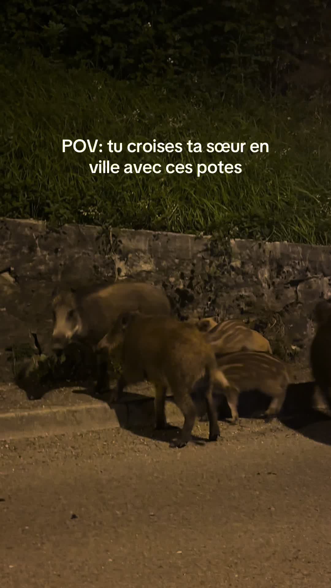 @Oukhty Réflexion