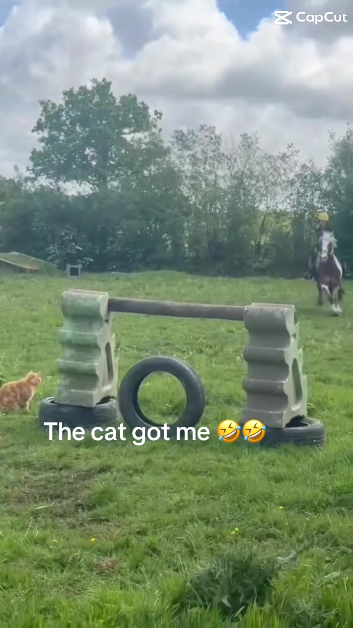 @lucy.candy5