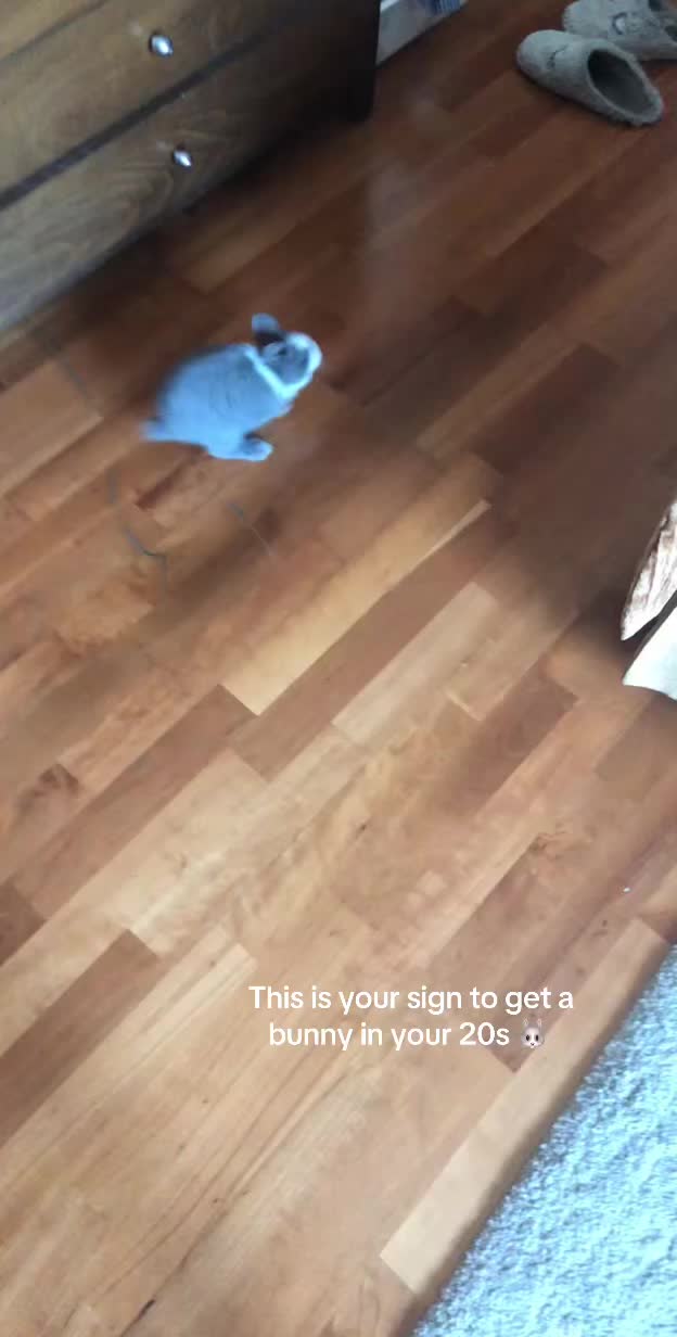 @bob