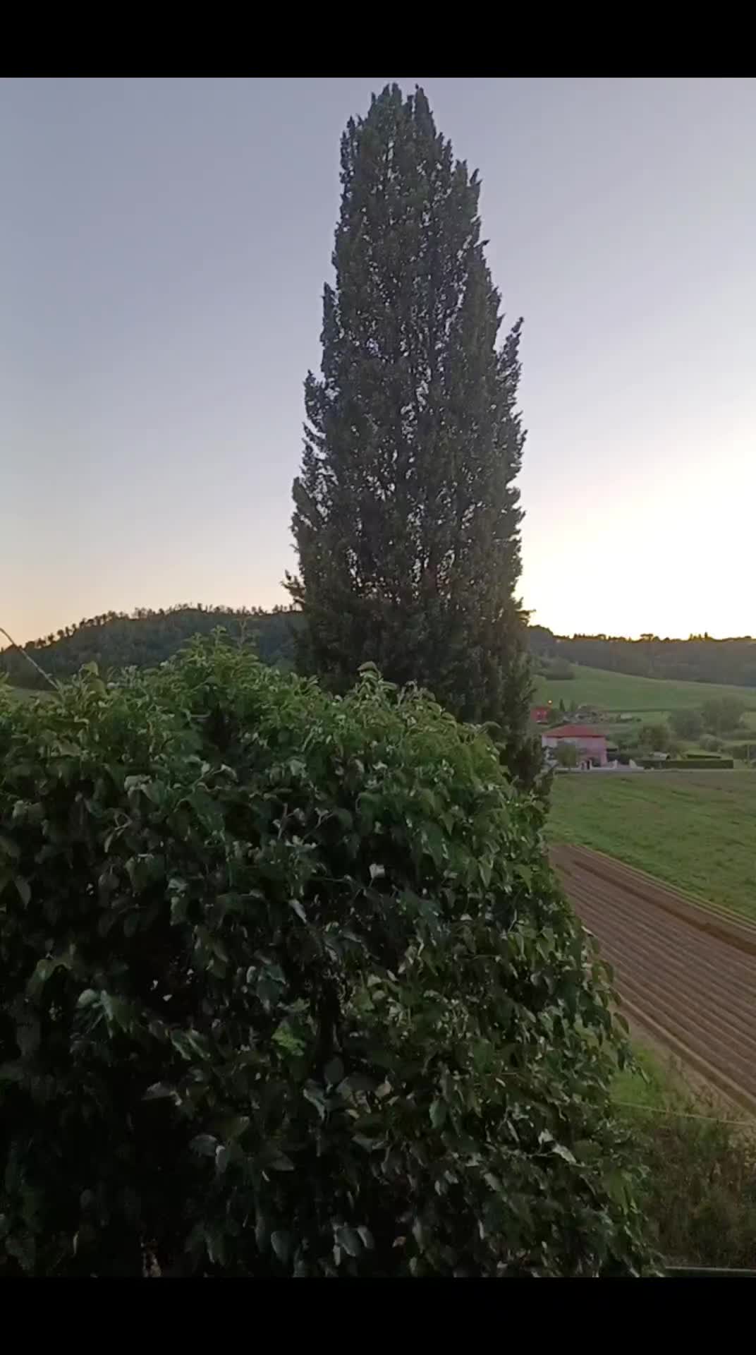 @Gianluca Bianchi