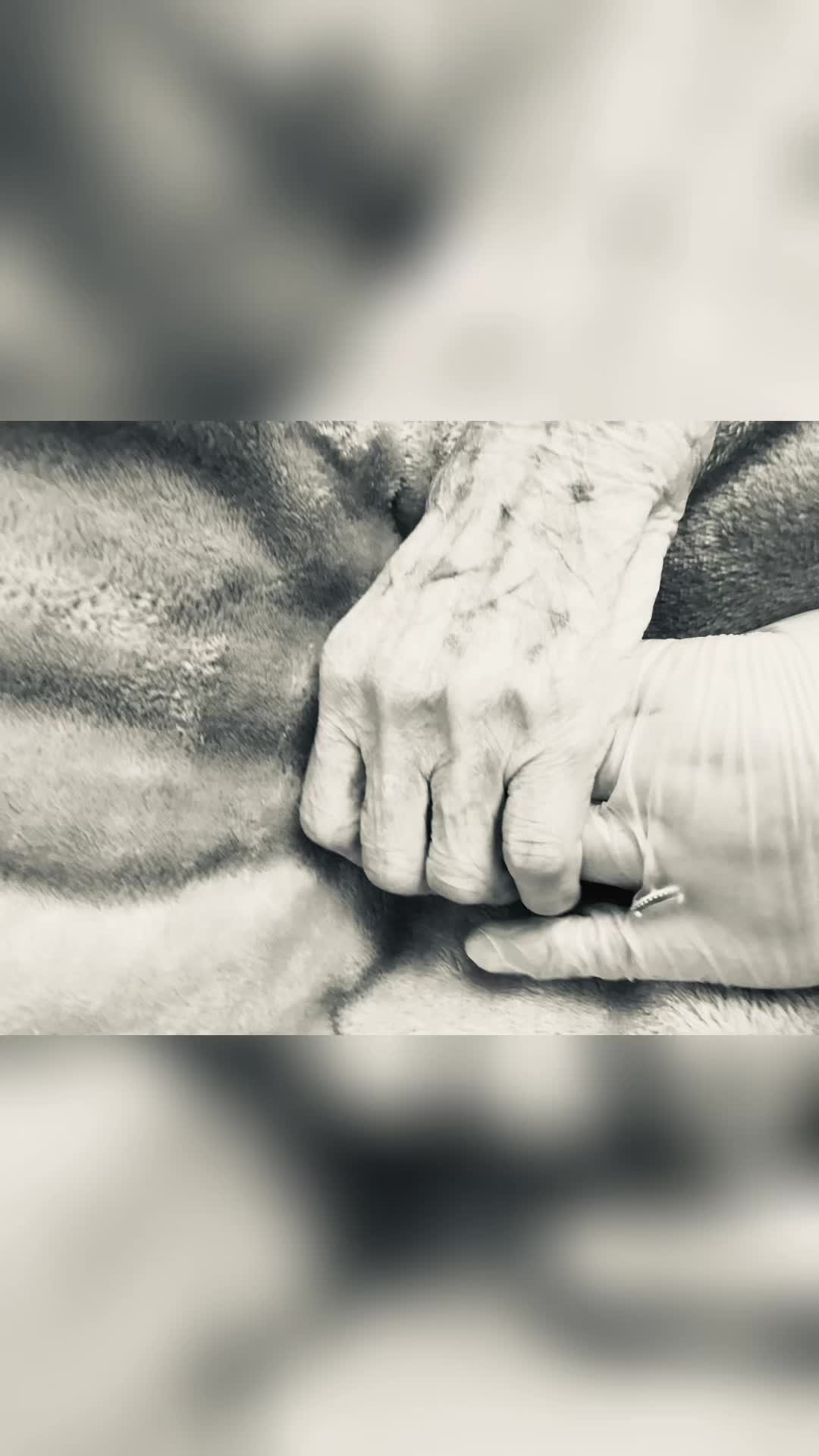 @LM ♥️