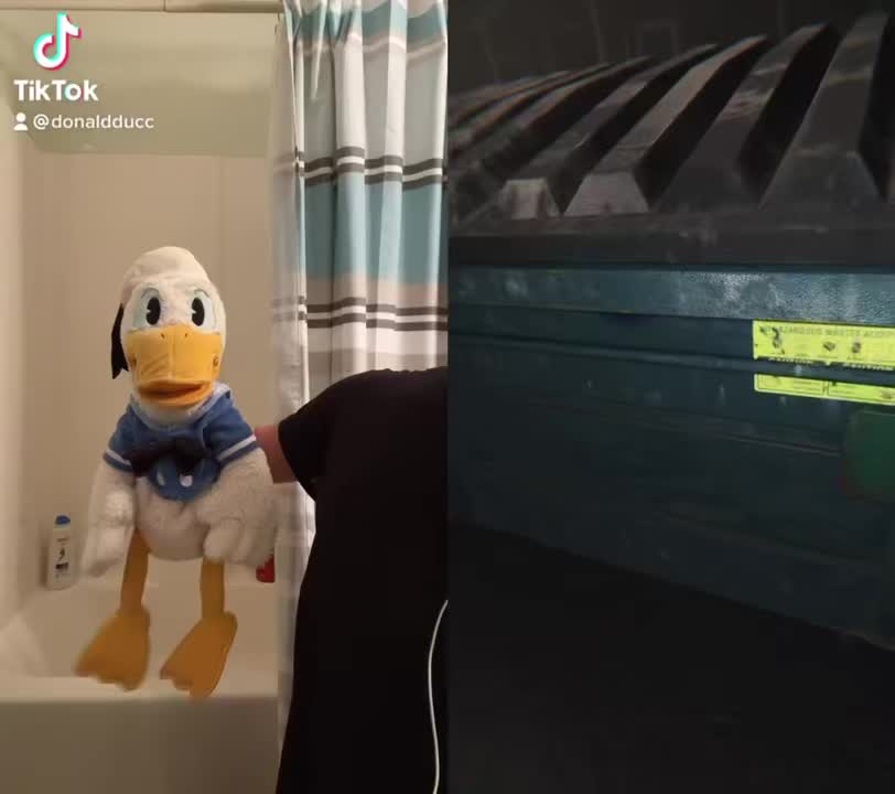 @DonaldDucc 🦆