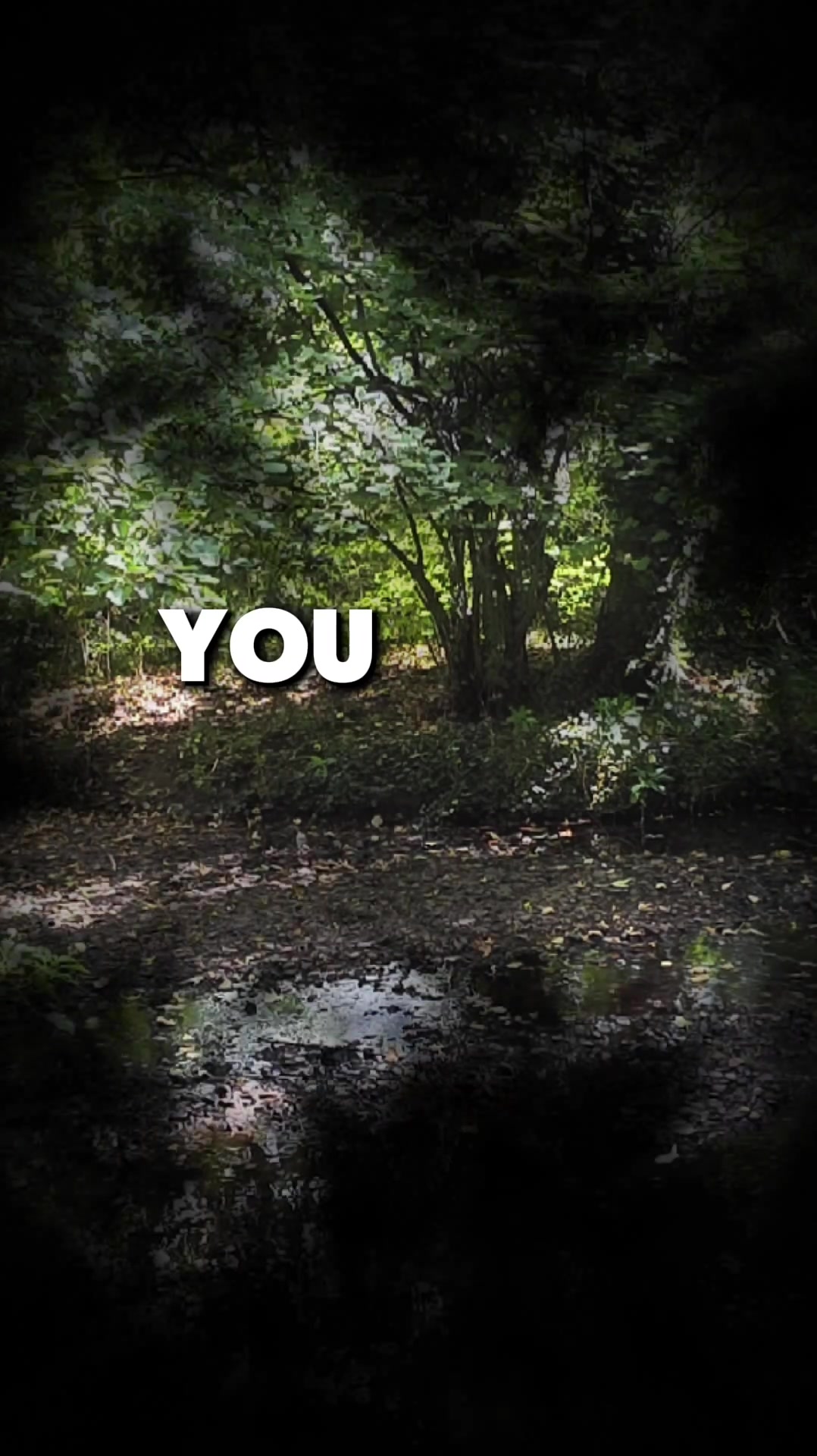 @PositiveSurvivour