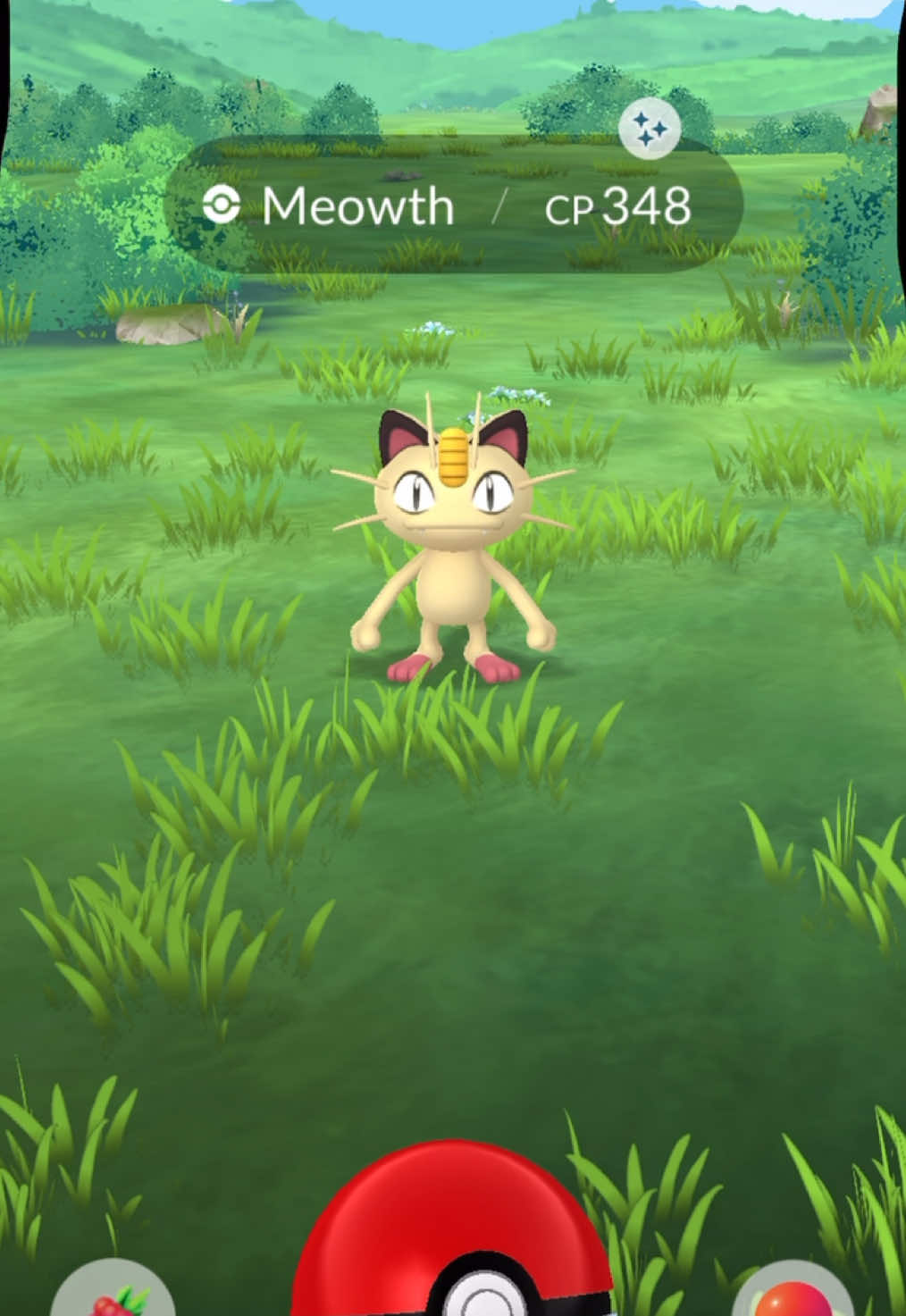 @pokebloxy