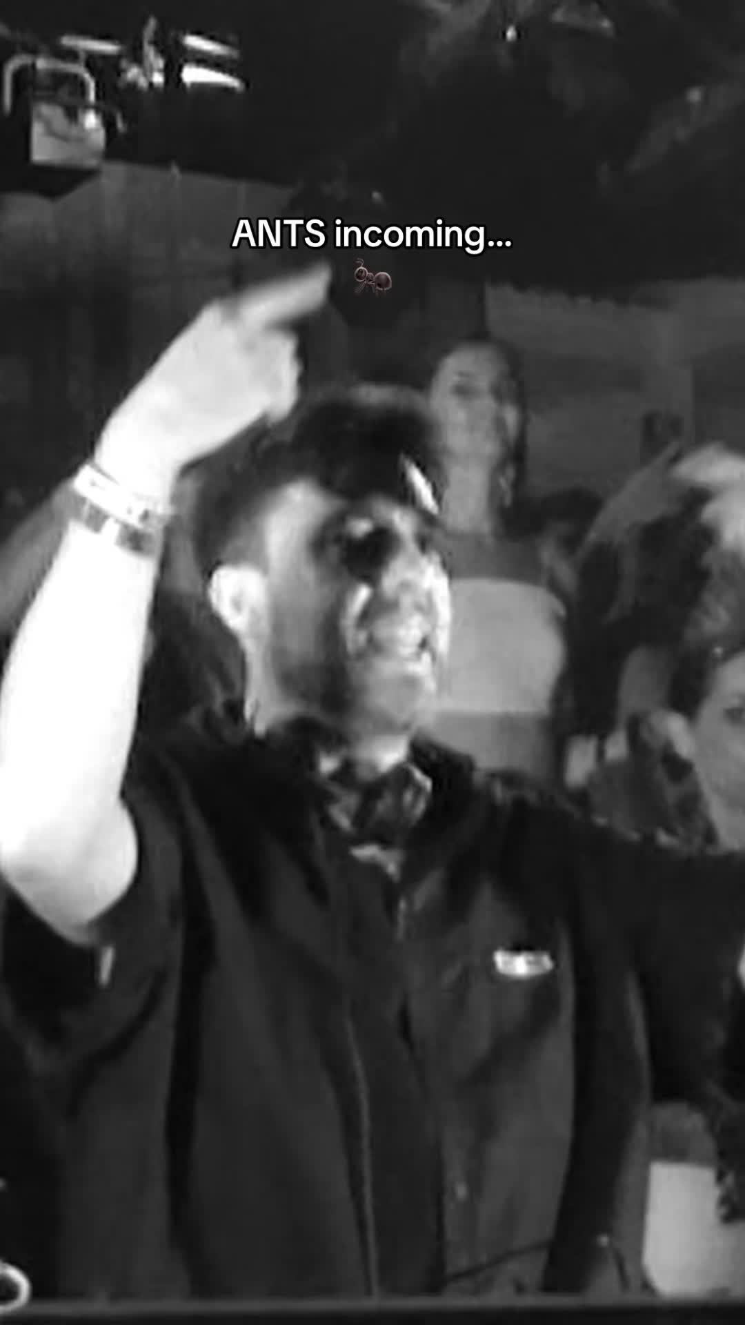 @maceoplex
