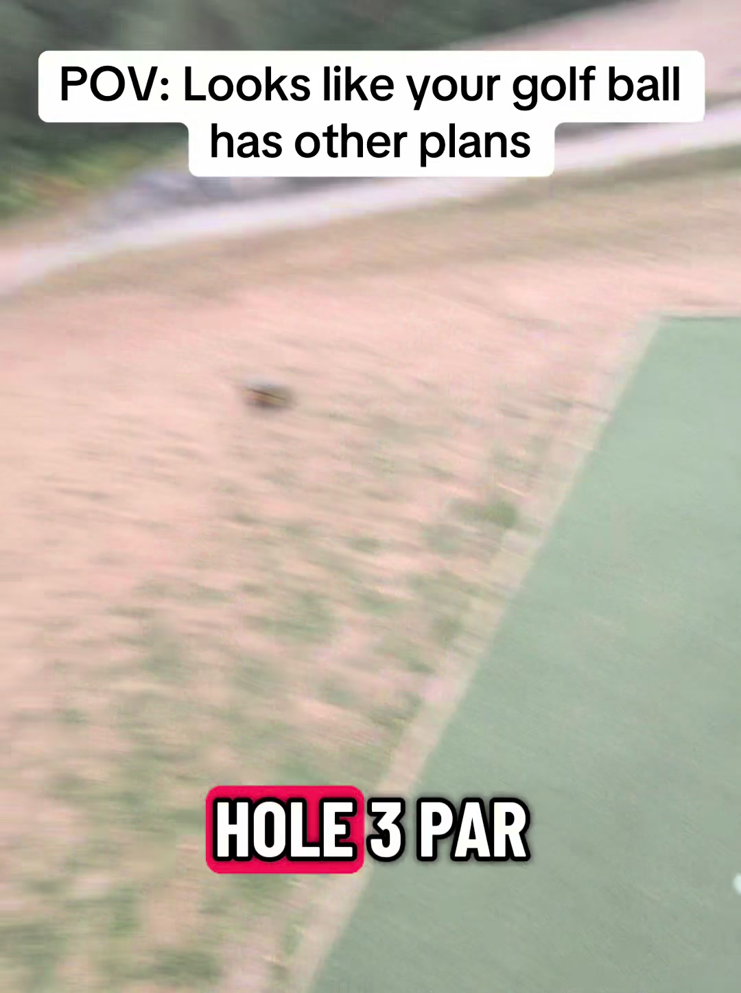 @GolfBite