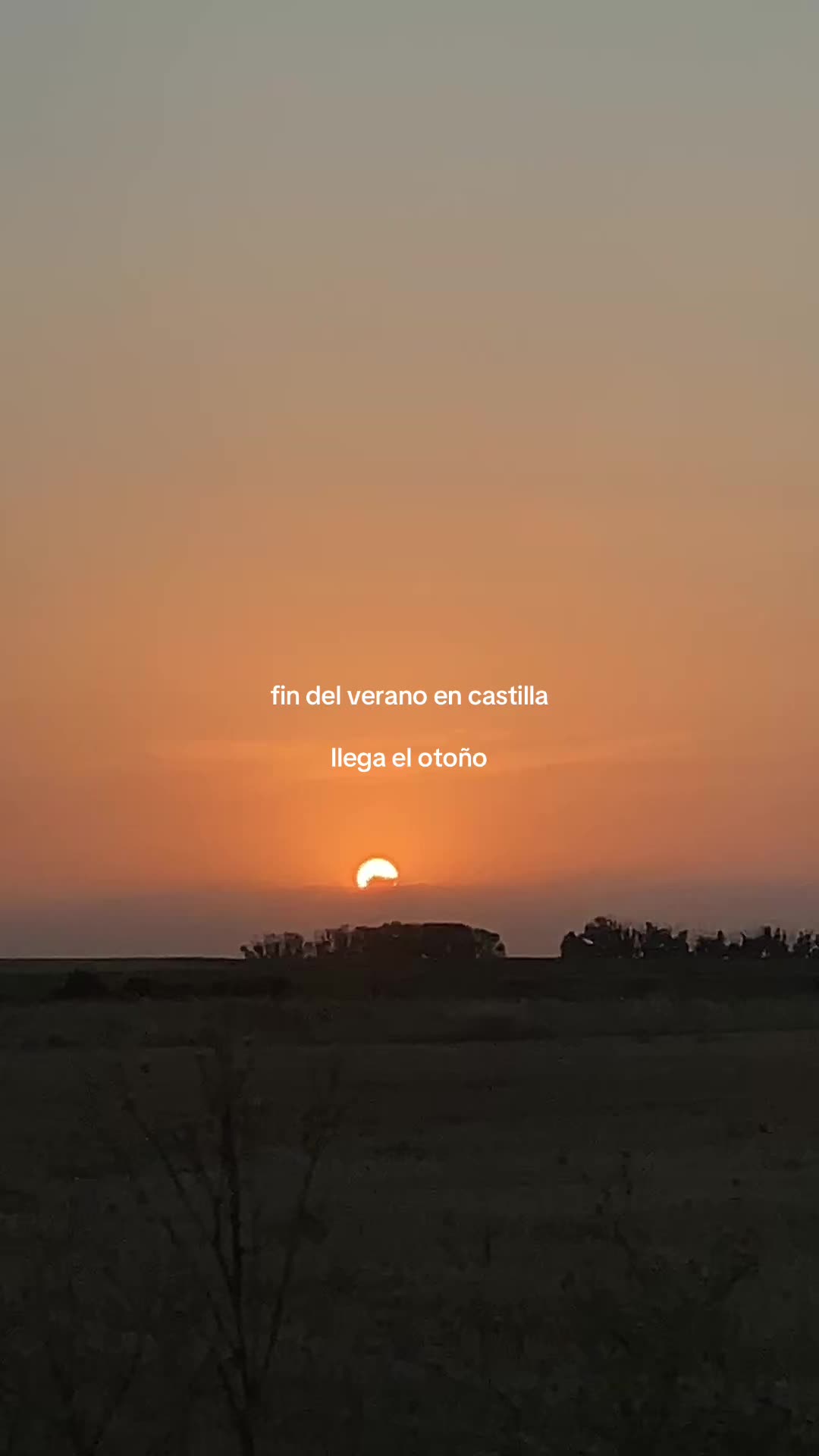 @alejandro