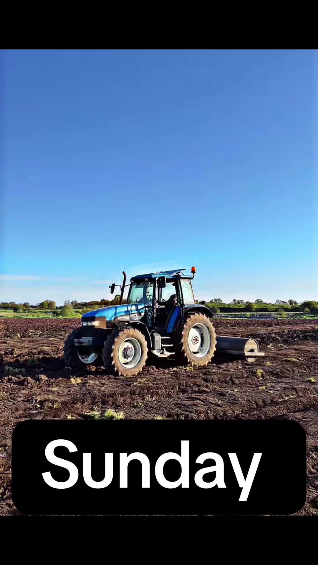 @oakdale.farrellys.farm